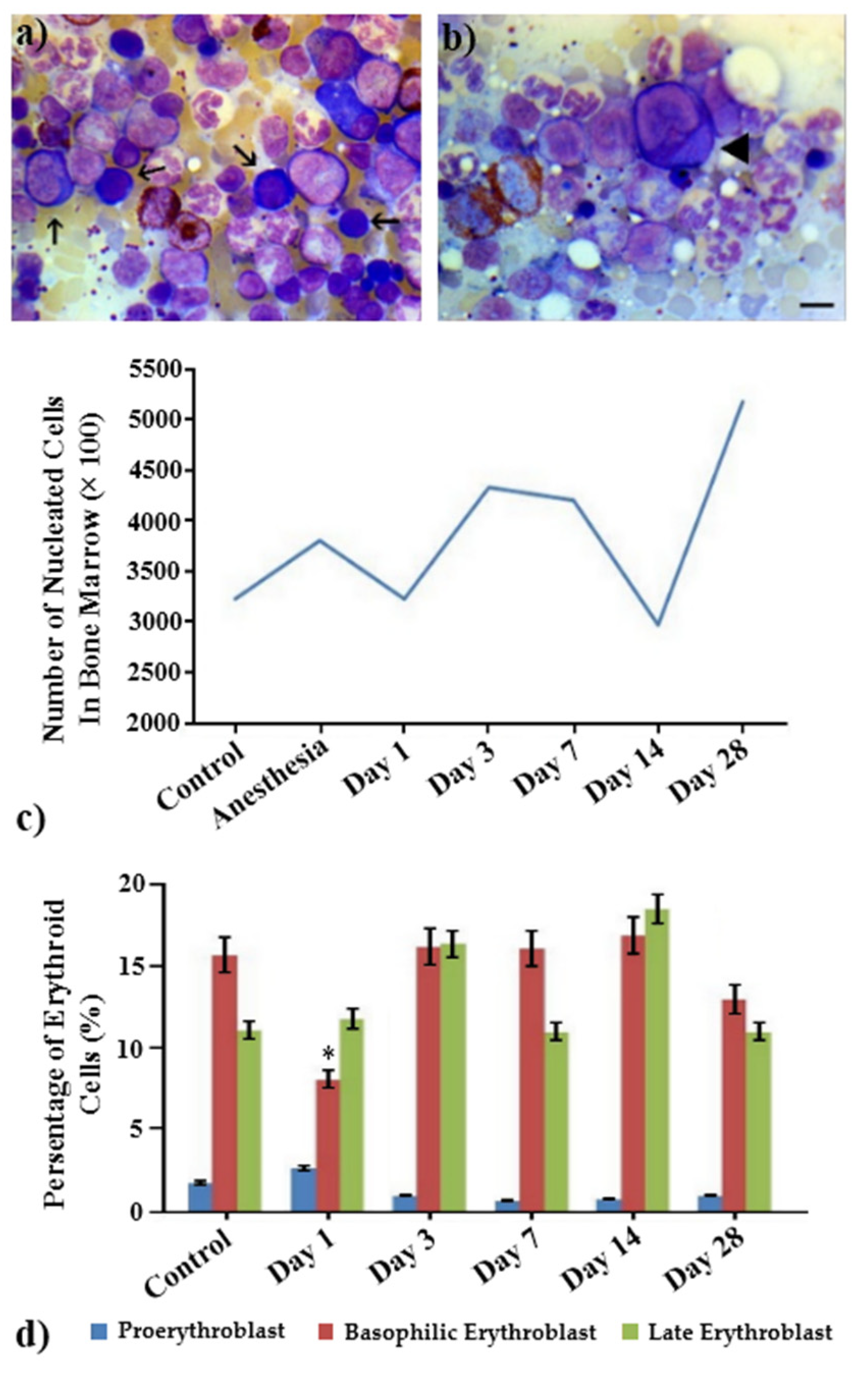 Ijms 23 06692 g006 Ijms 23 06692 g006