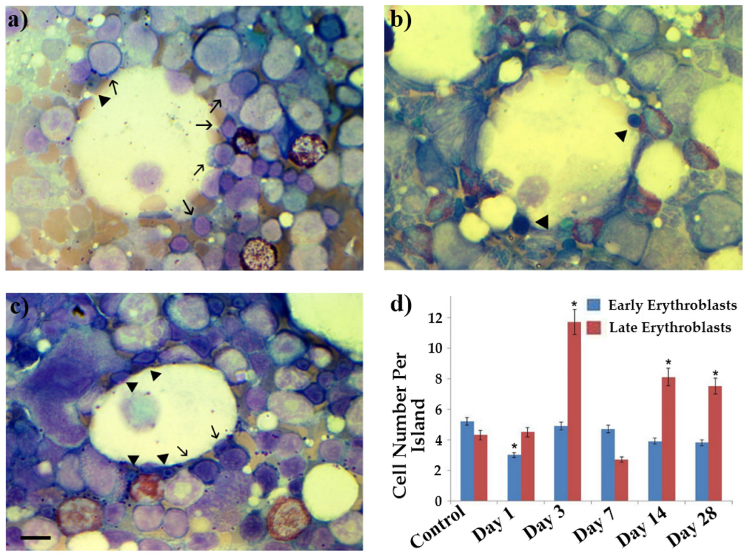 Ijms 23 06692 g008 Ijms 23 06692 g008
