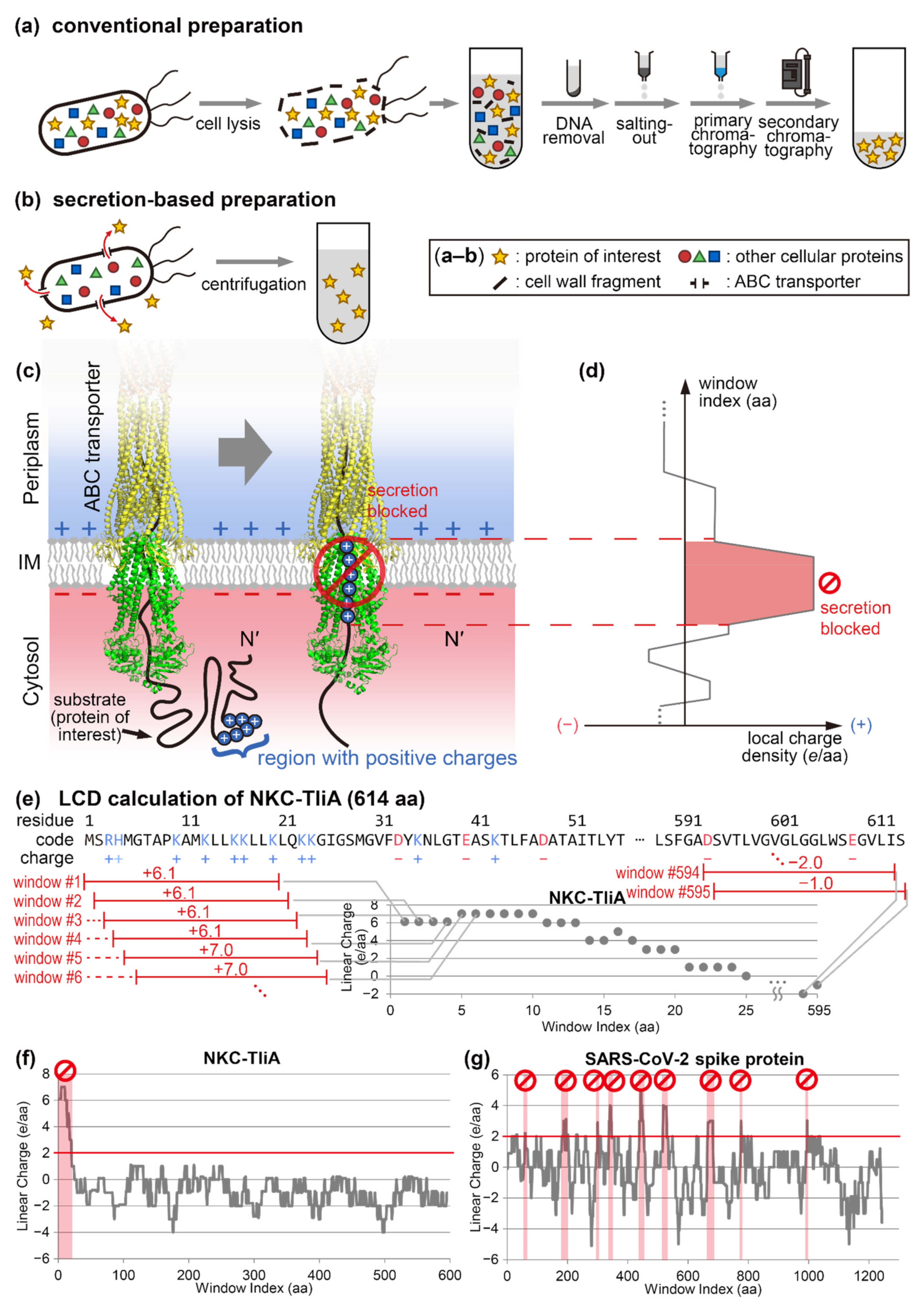 Ijms 23 06700 g001 550