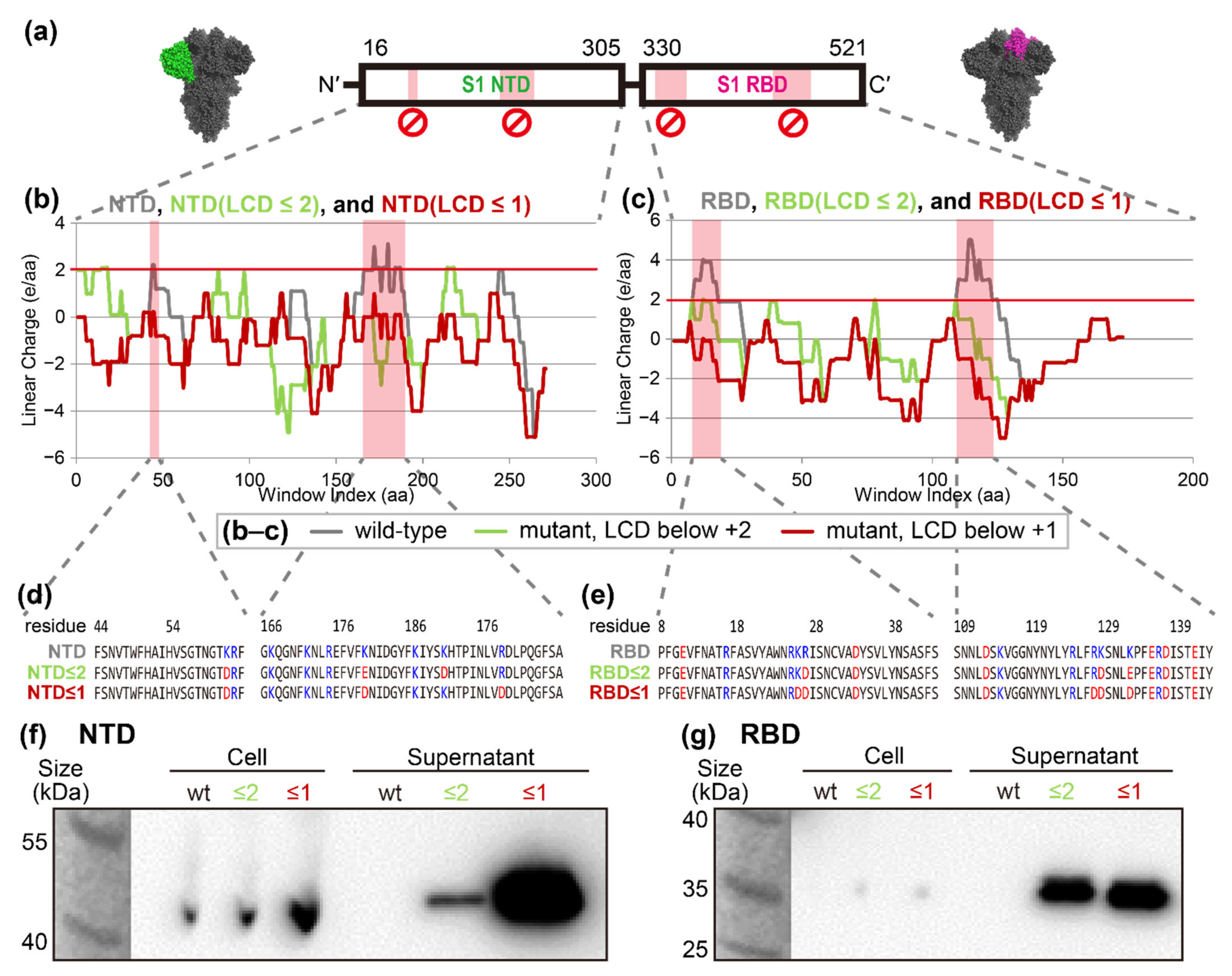 Ijms 23 06700 g002 550