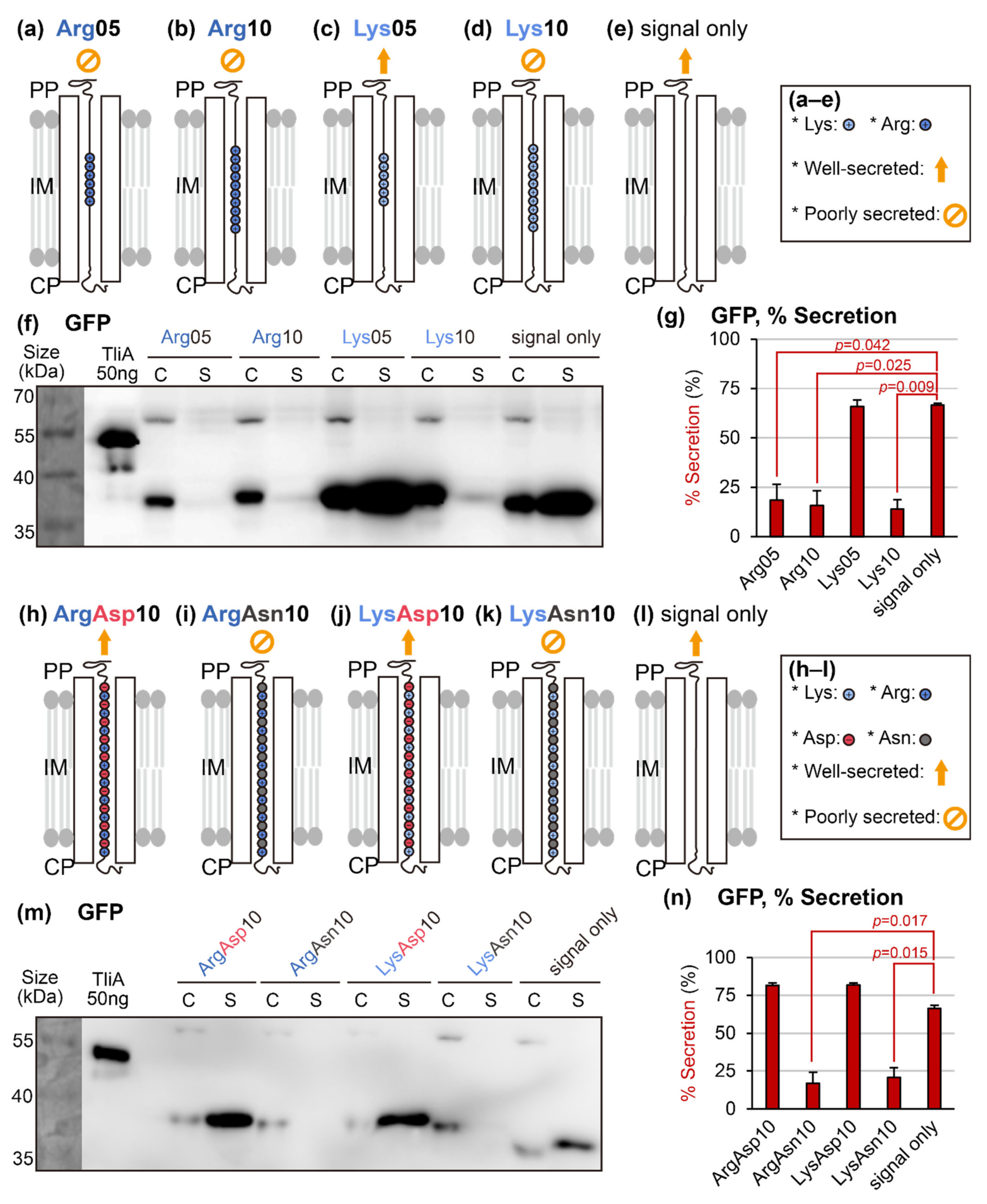 Ijms 23 06700 g003 550