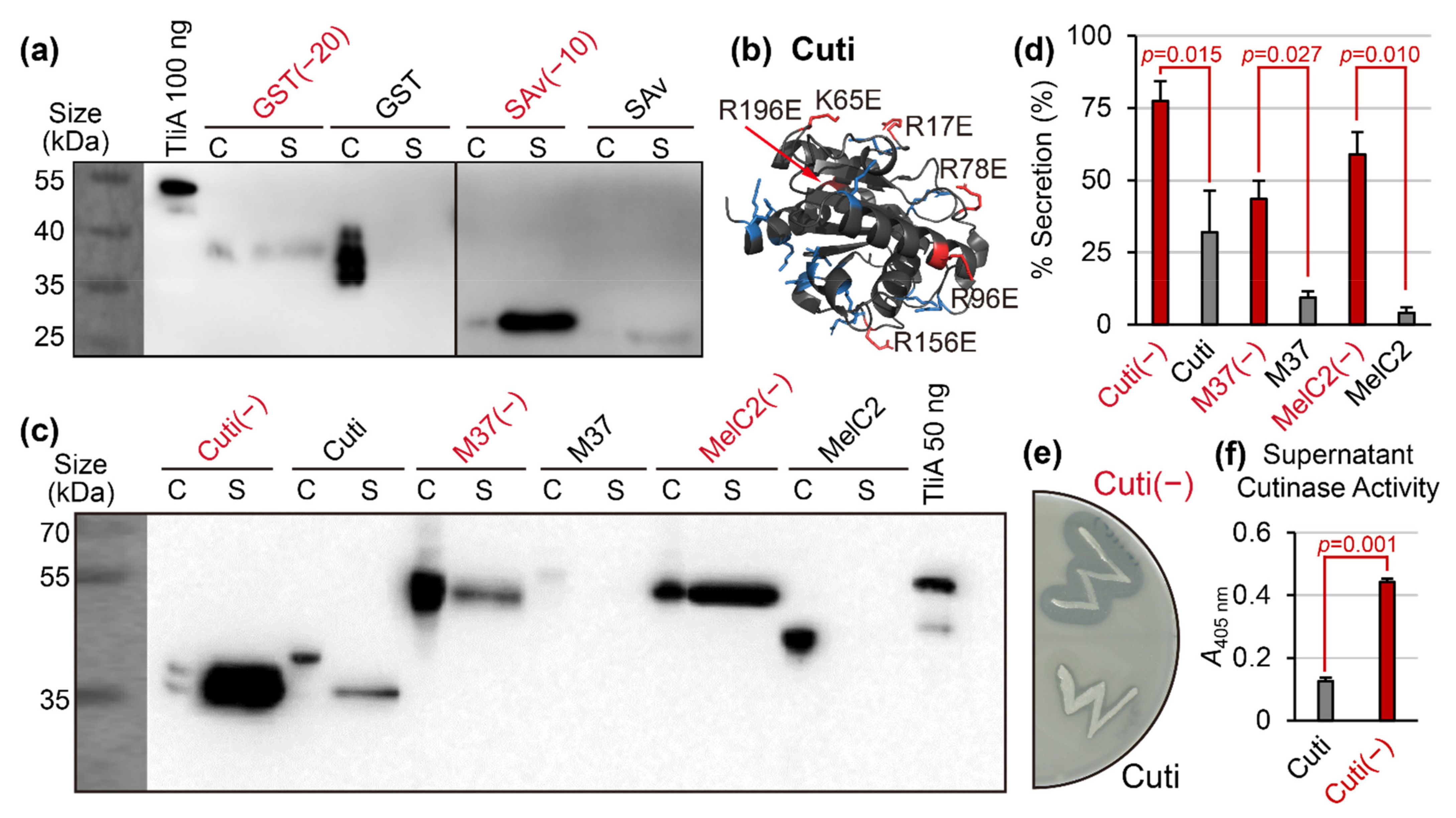 Ijms 23 06700 g004 550