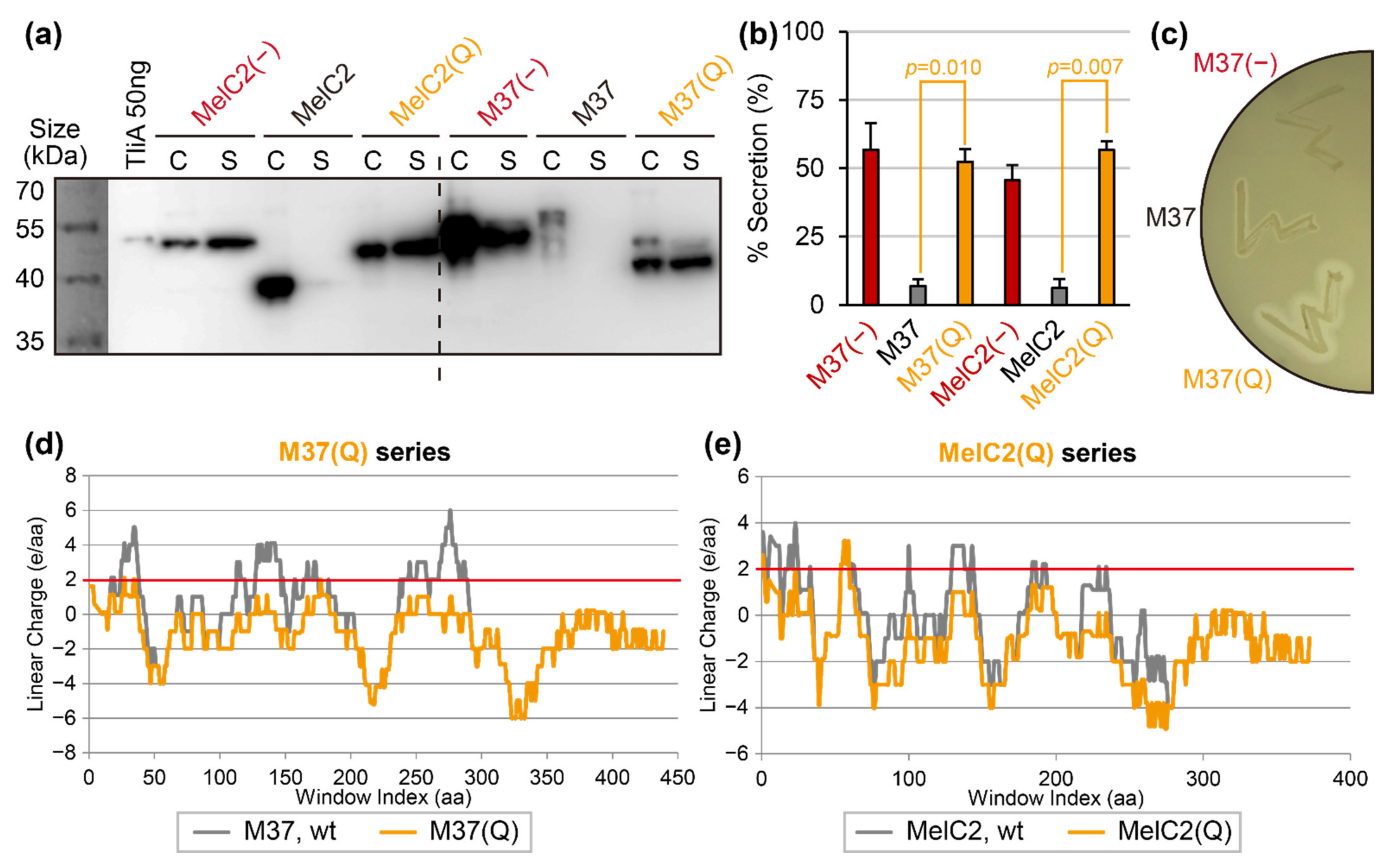 Ijms 23 06700 g005 550