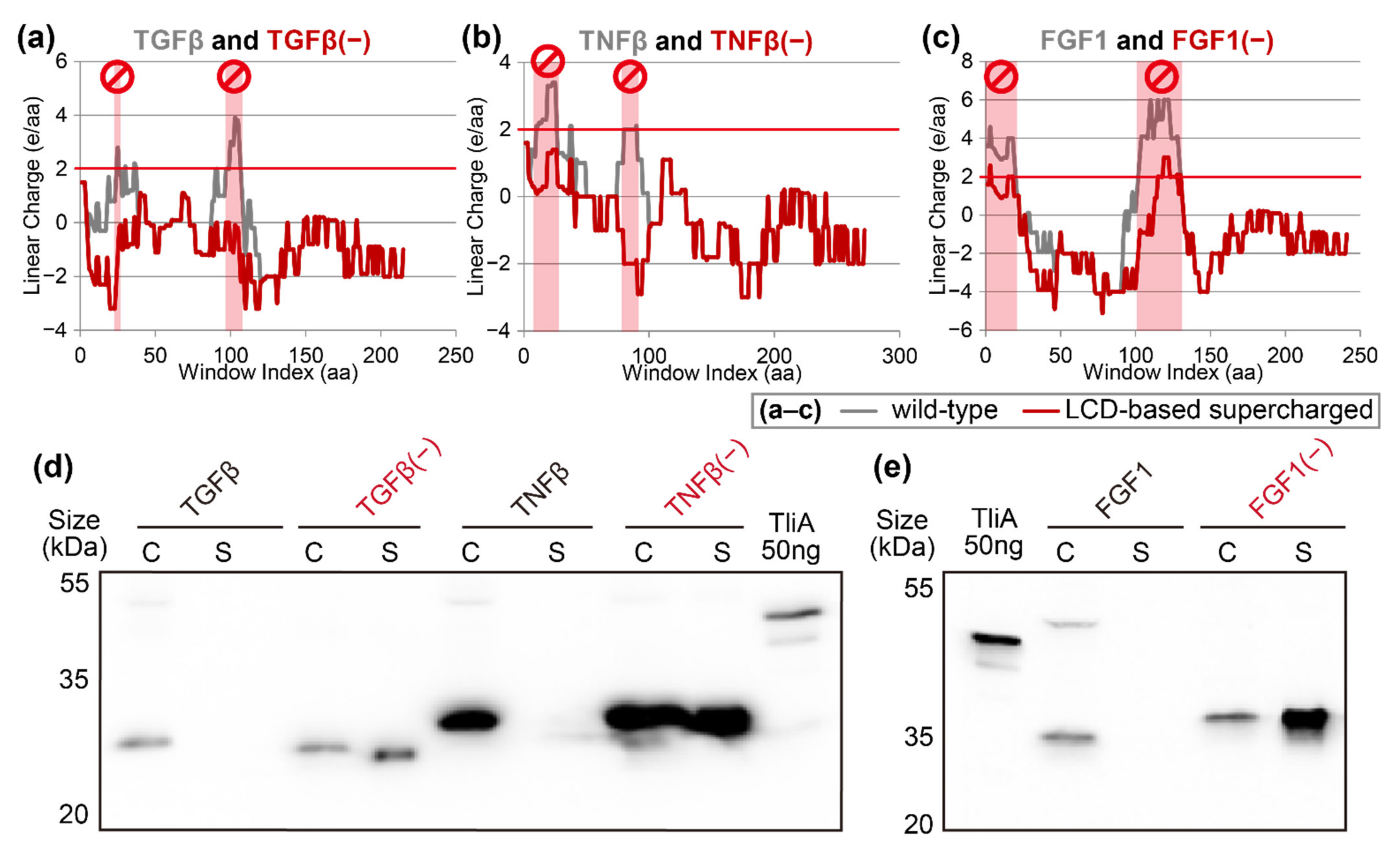 Ijms 23 06700 g007 550