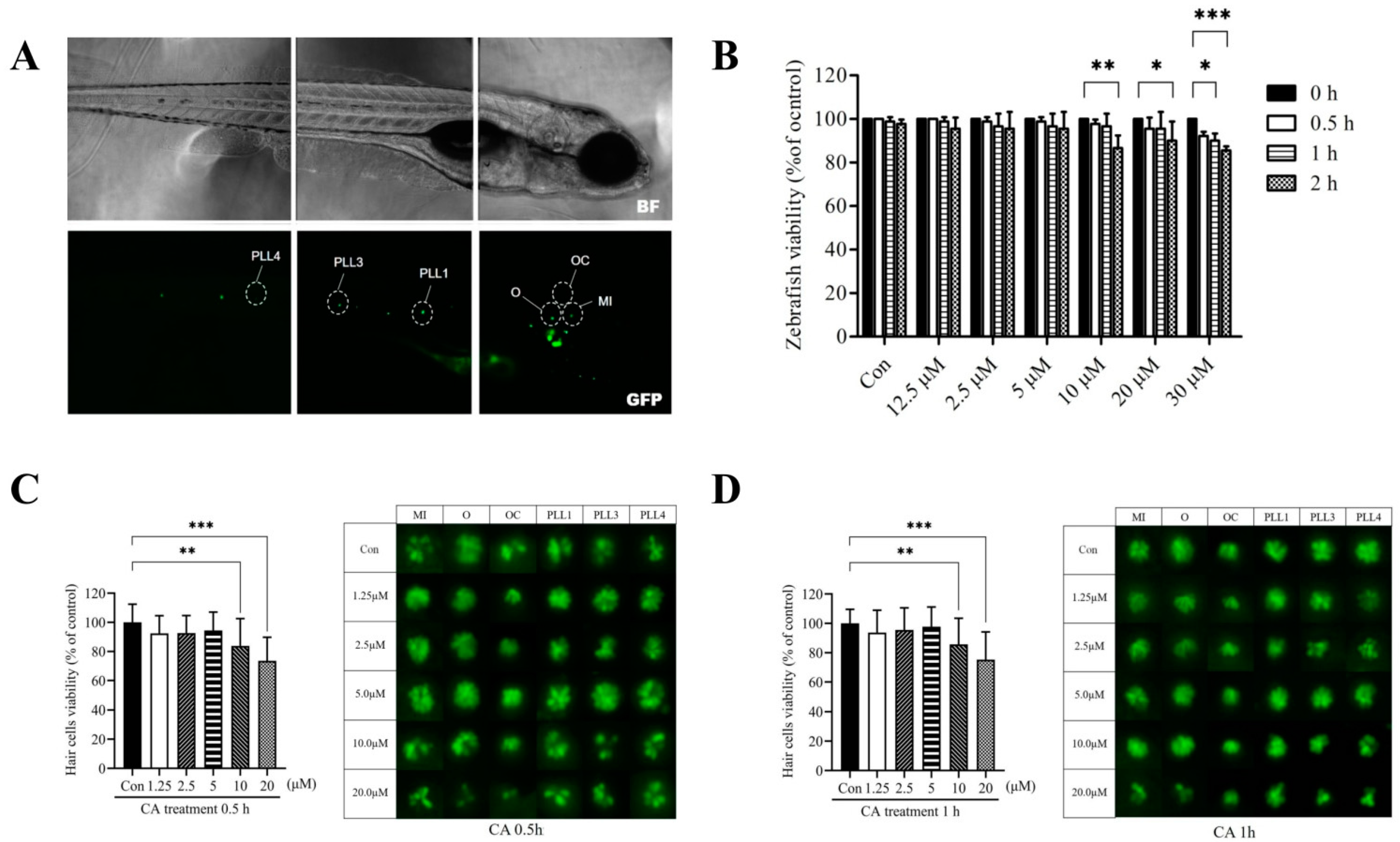 Ijms 23 06701 g001 550