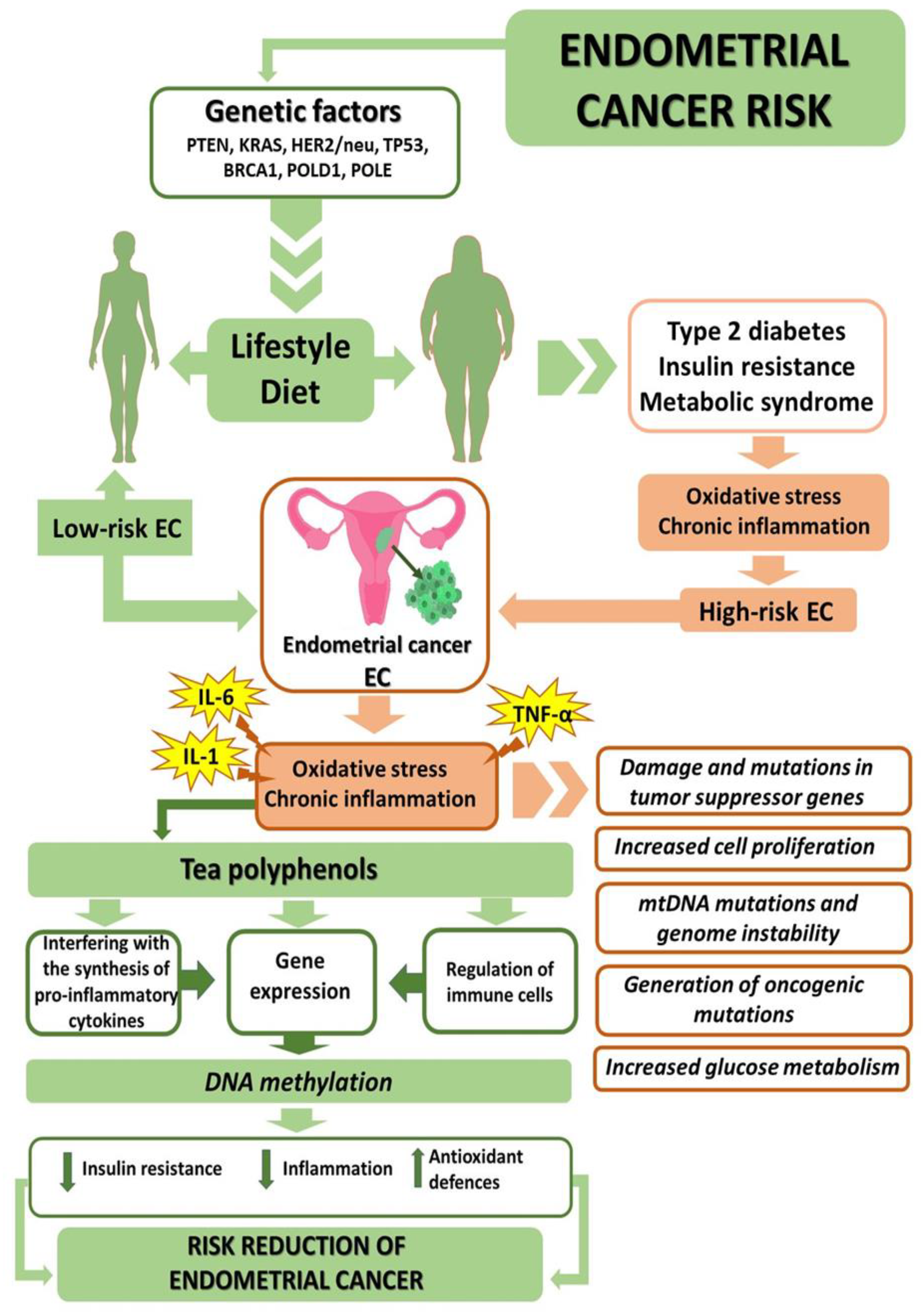 Ijms 23 06703 g004 Ijms 23 06703 g004