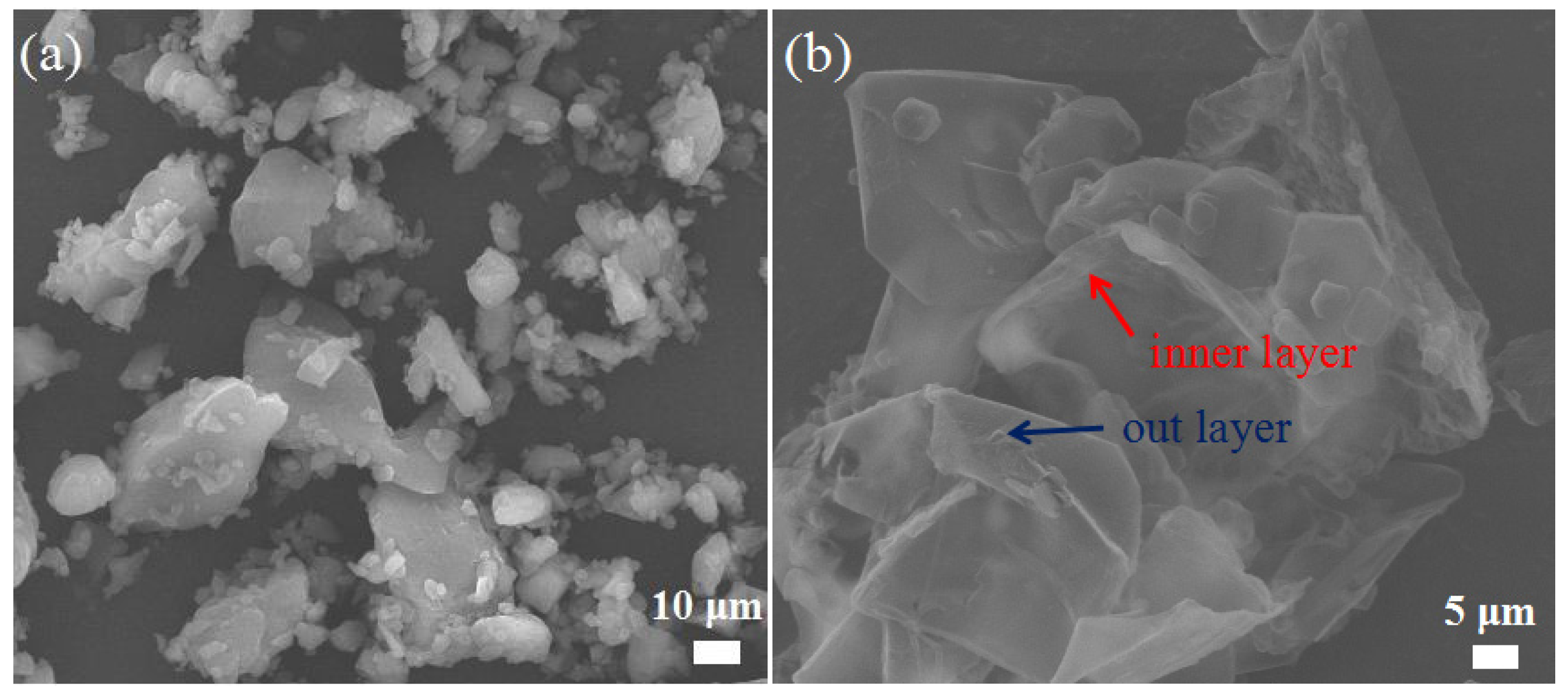 Ijms 23 06710 g003 550