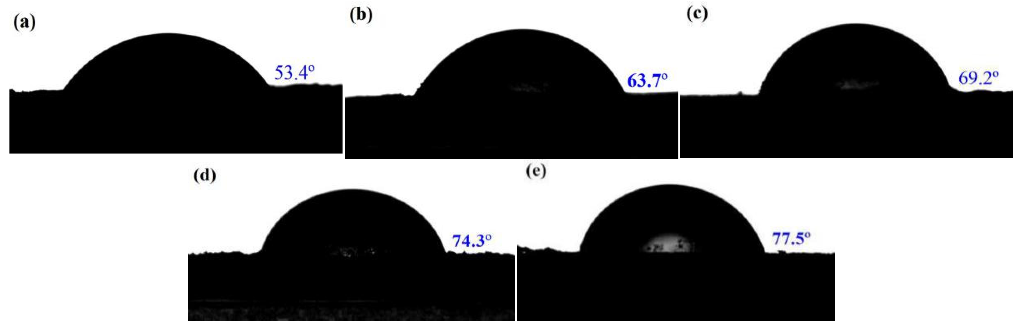 Ijms 23 06710 g007 550
