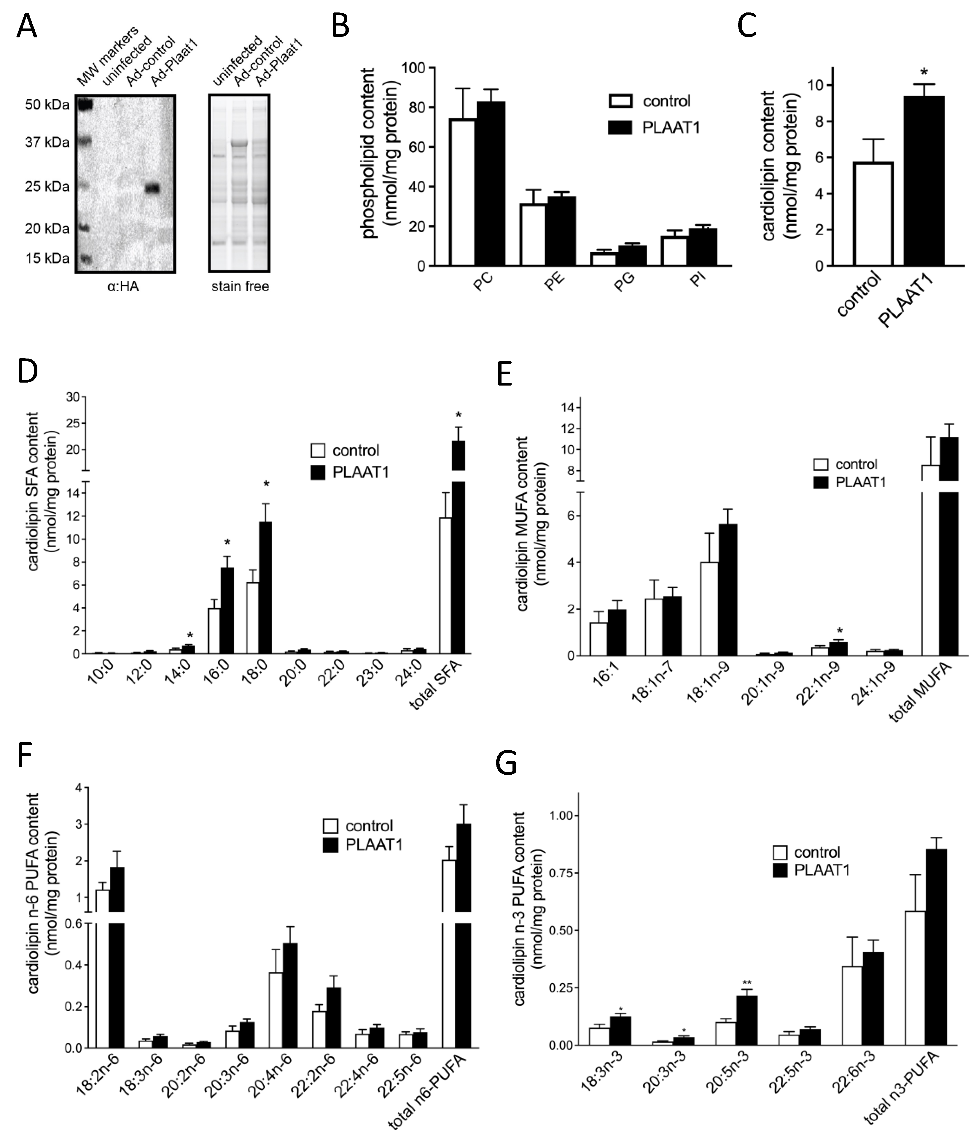 Ijms 23 06714 g002 550