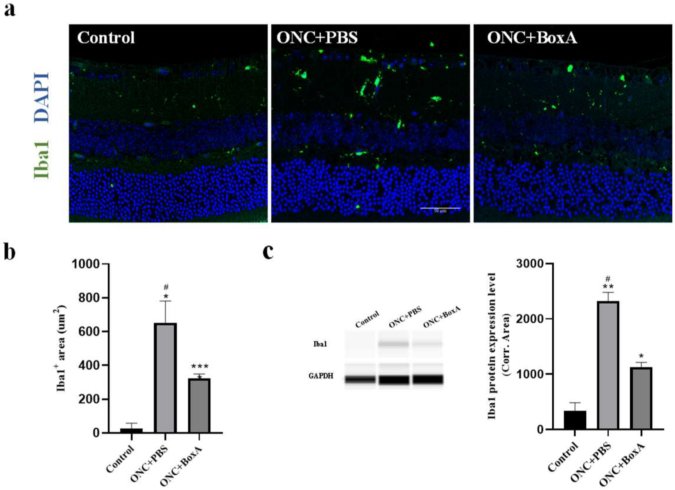 Ijms 23 06715 g005 550