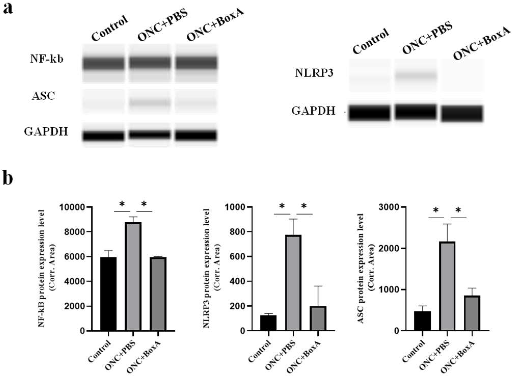 Ijms 23 06715 g006 550