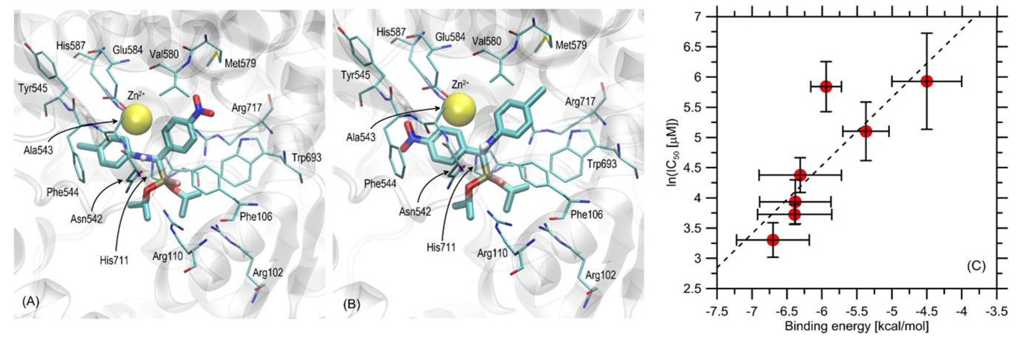 Ijms 23 06716 g007 550