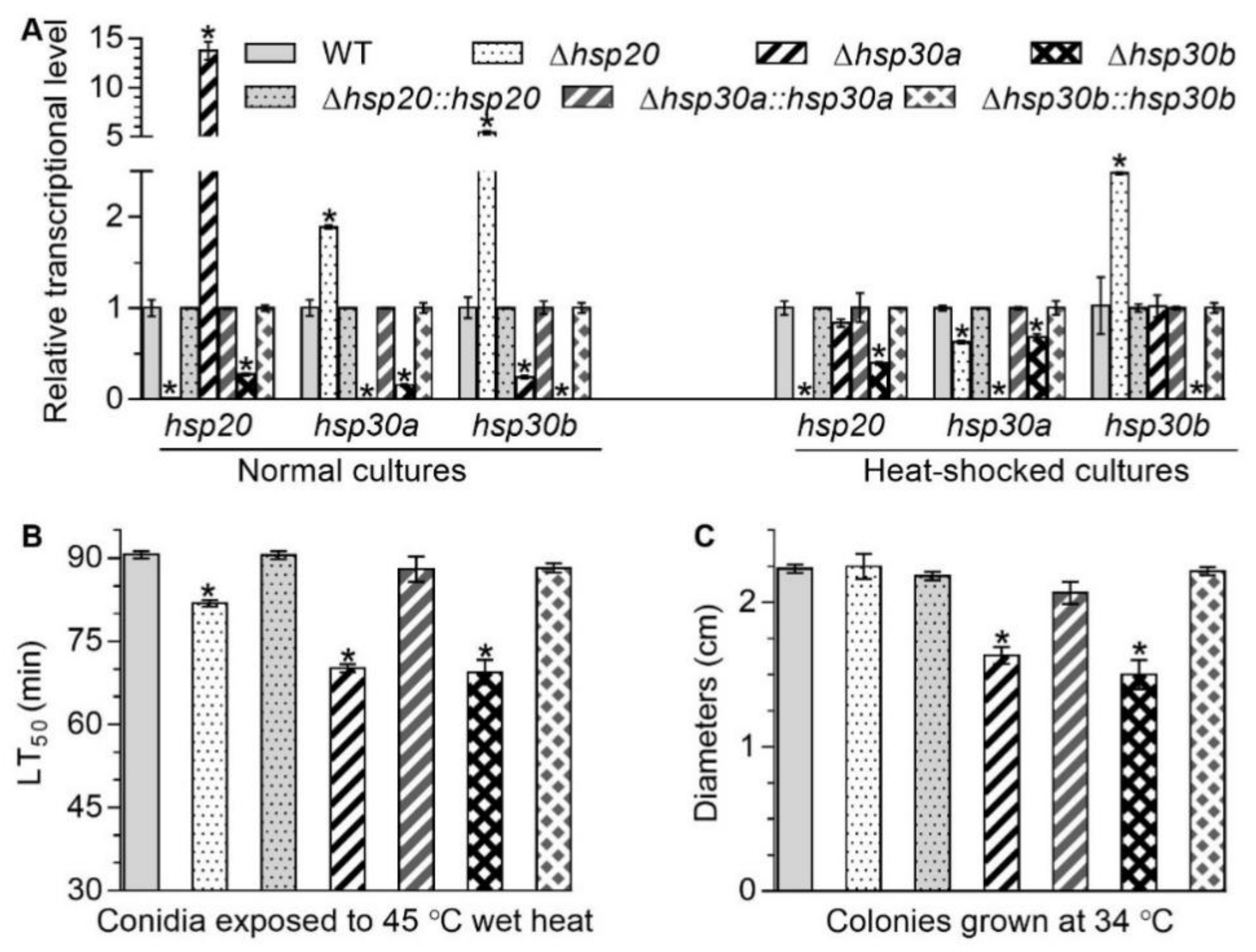 Ijms 23 06717 g001 Ijms 23 06717 g001