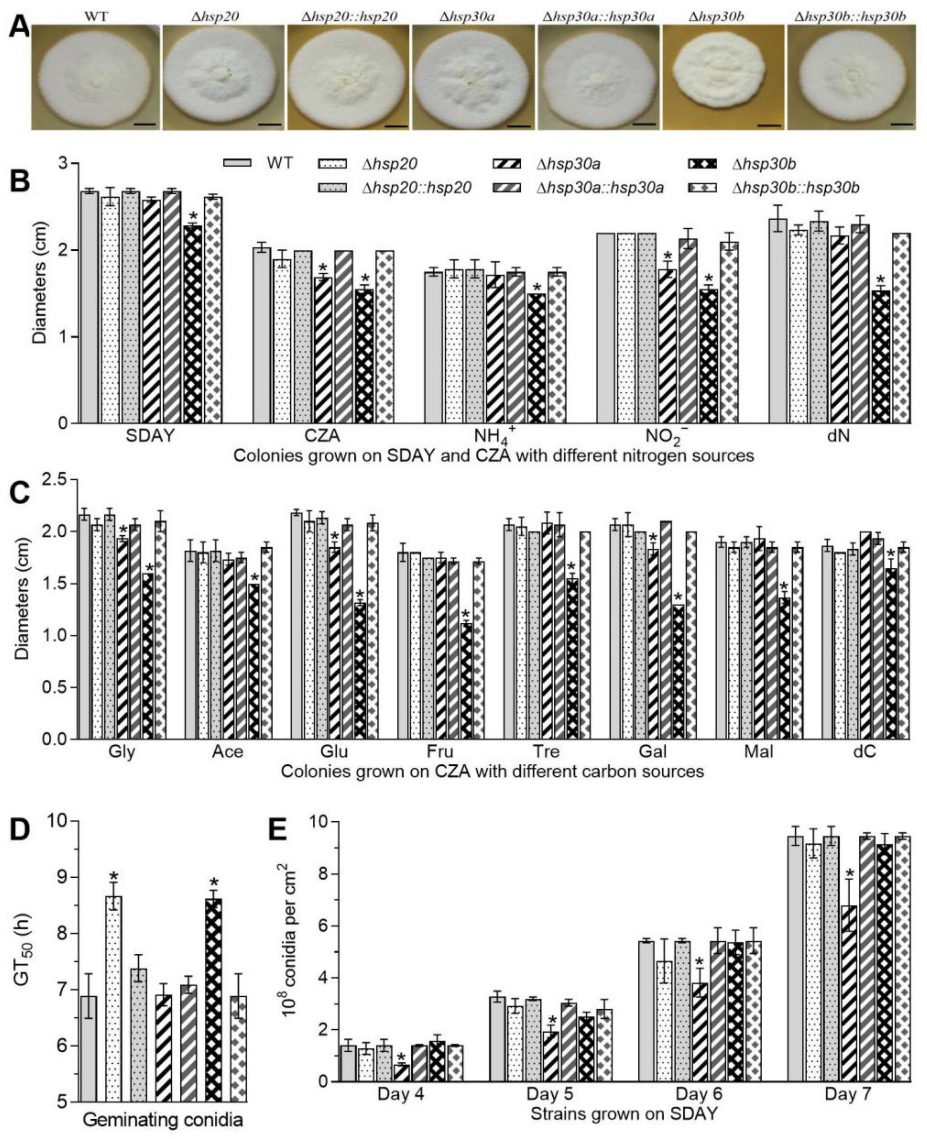 Ijms 23 06717 g002 Ijms 23 06717 g002