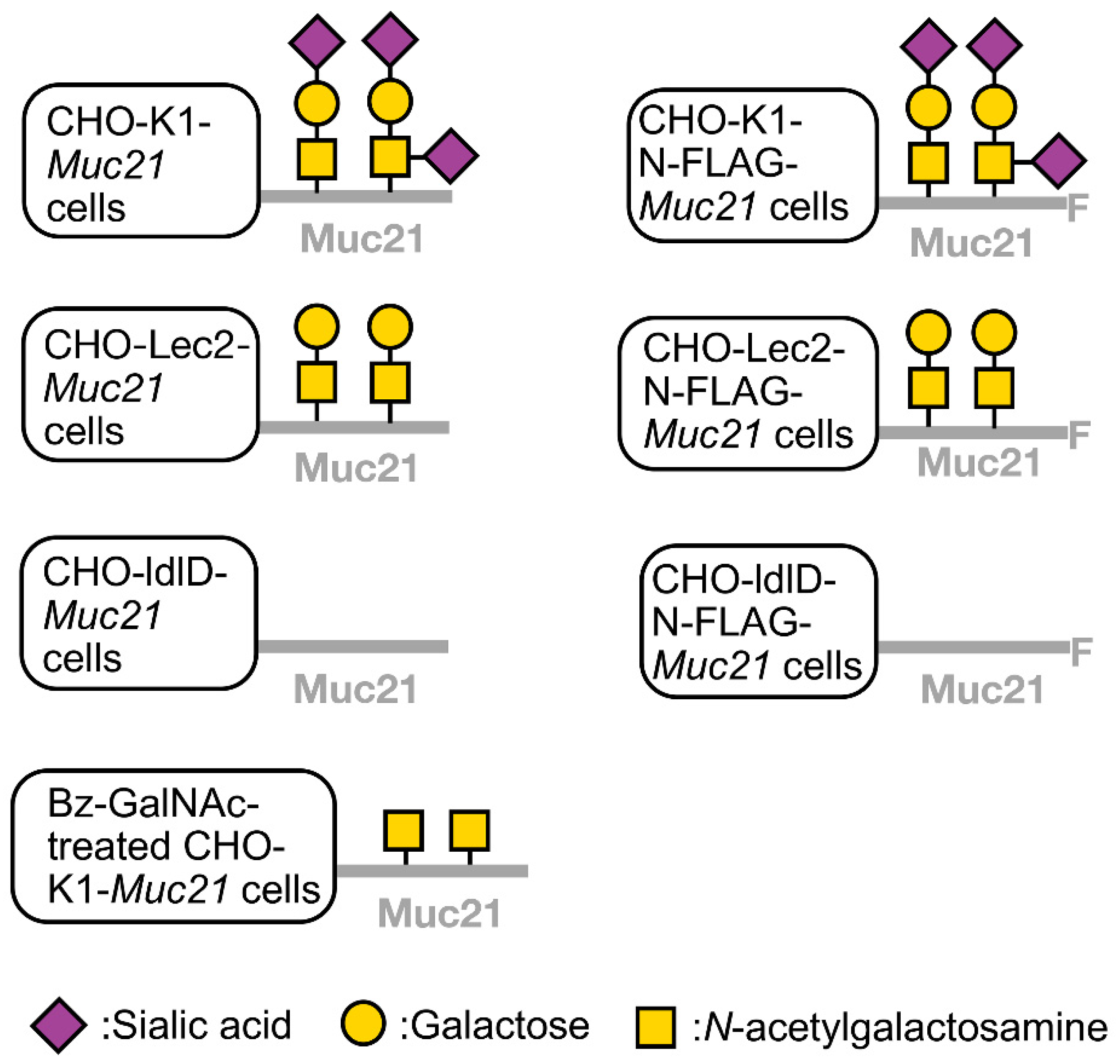 Ijms 23 06718 g002 550