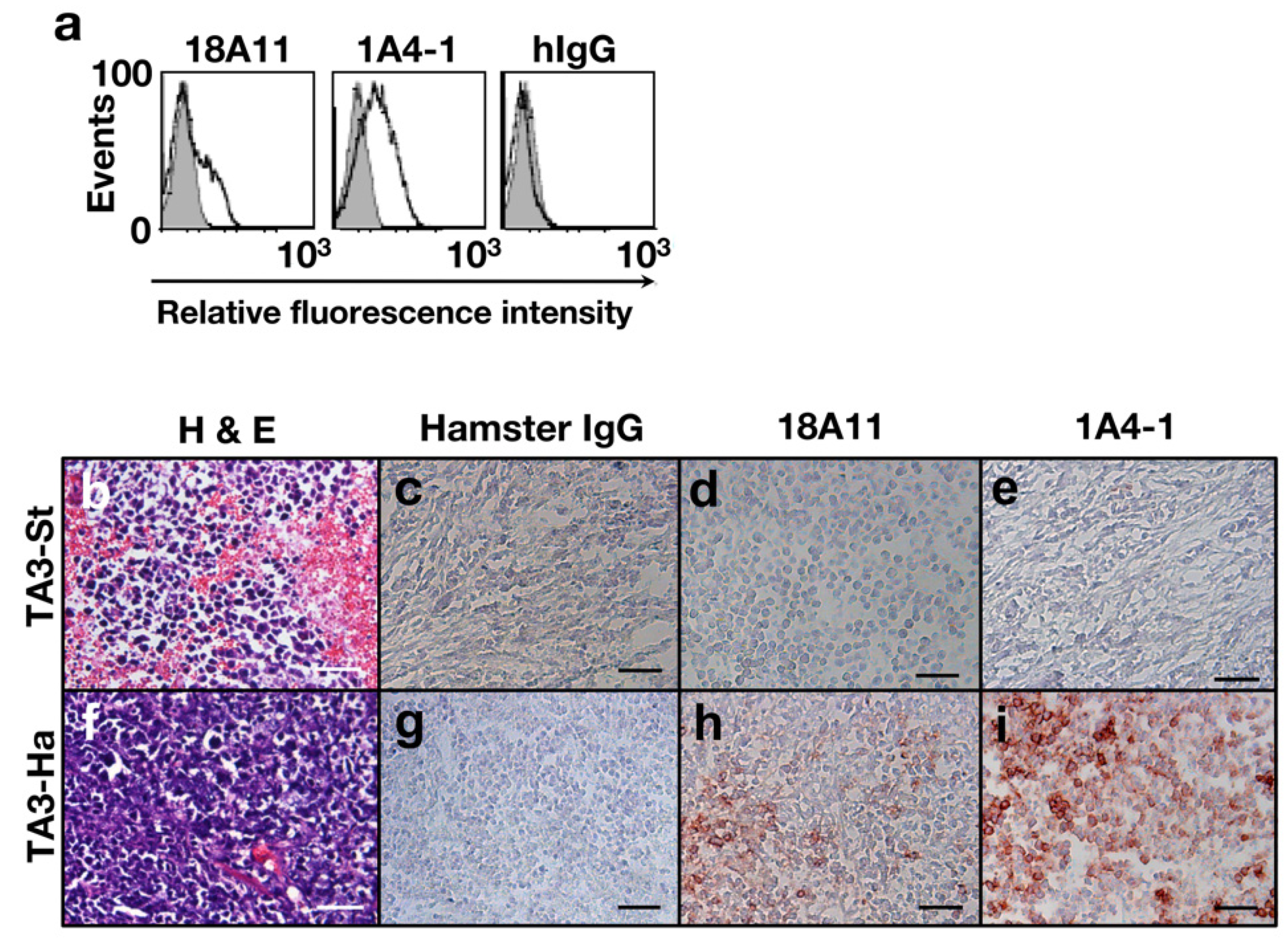 Ijms 23 06718 g005 550