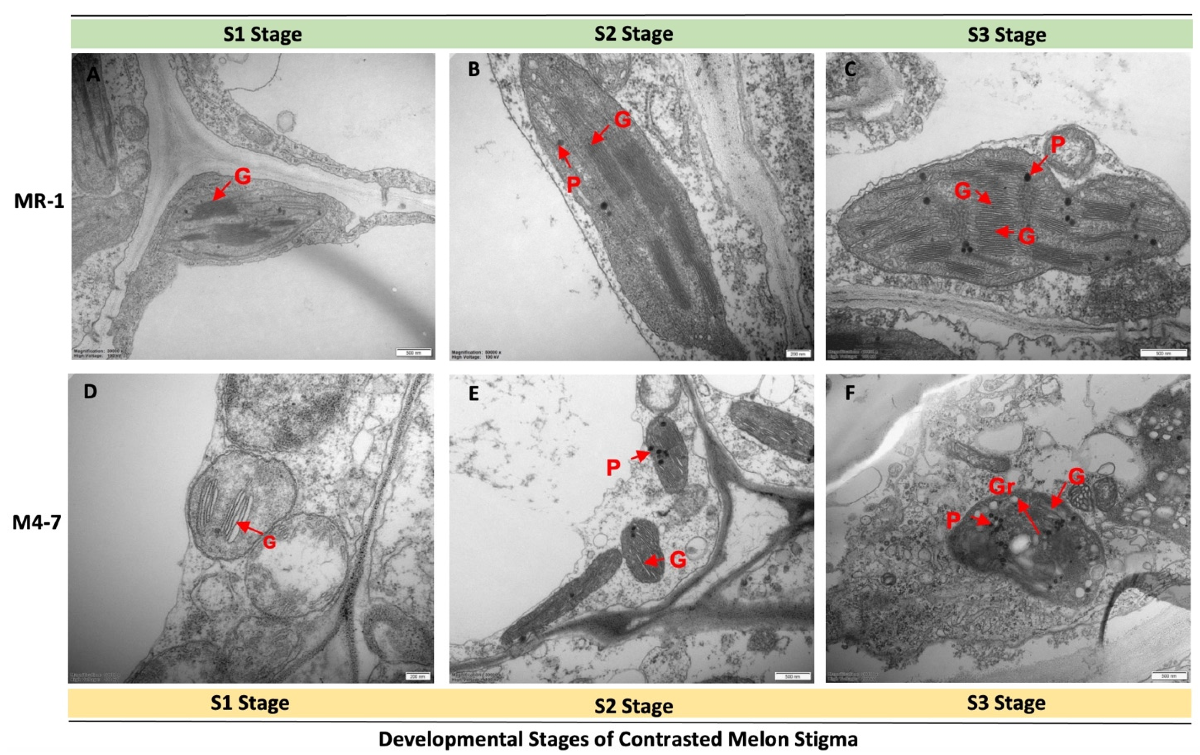 Ijms 23 06721 g003 550