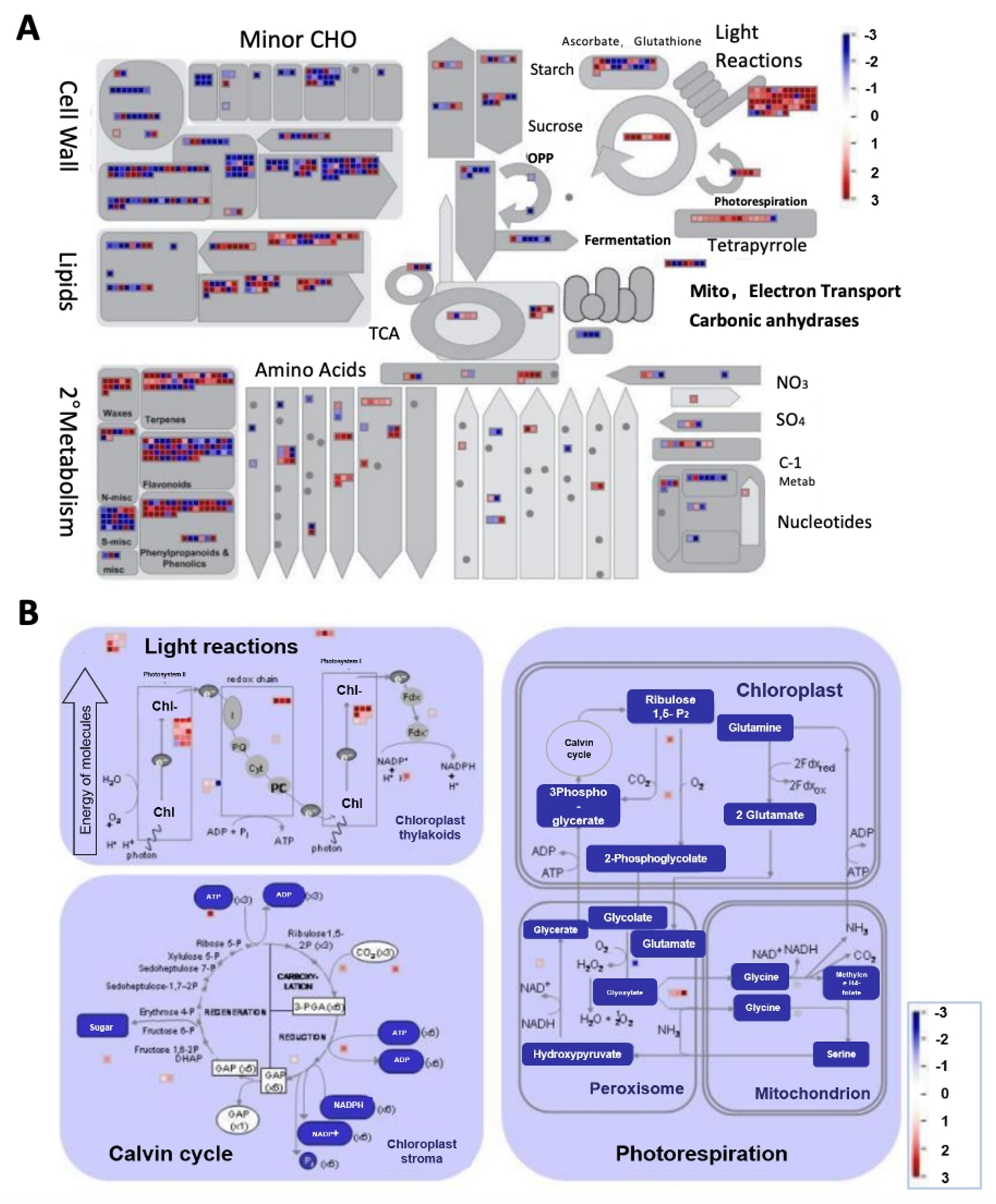 Ijms 23 06721 g005 550