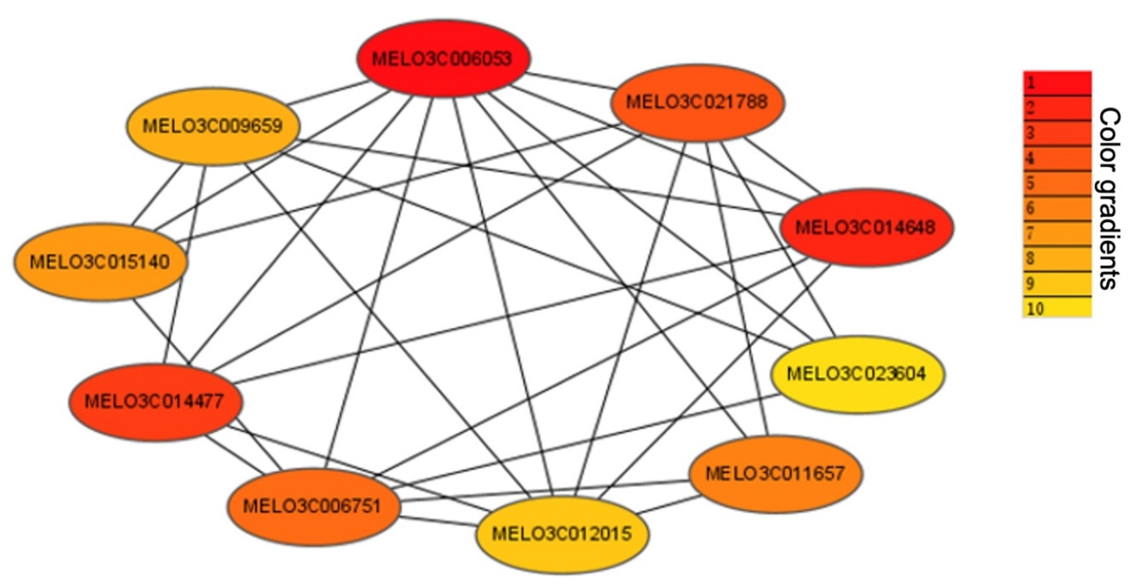 Ijms 23 06721 g008 550