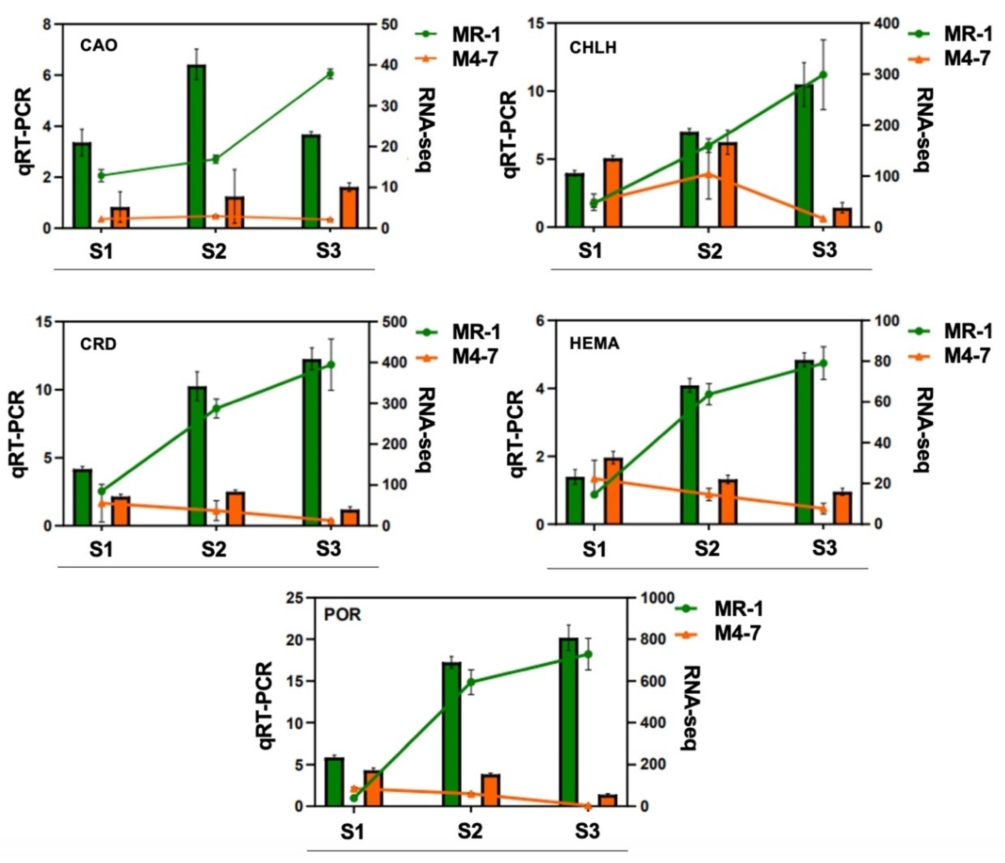 Ijms 23 06721 g009 550