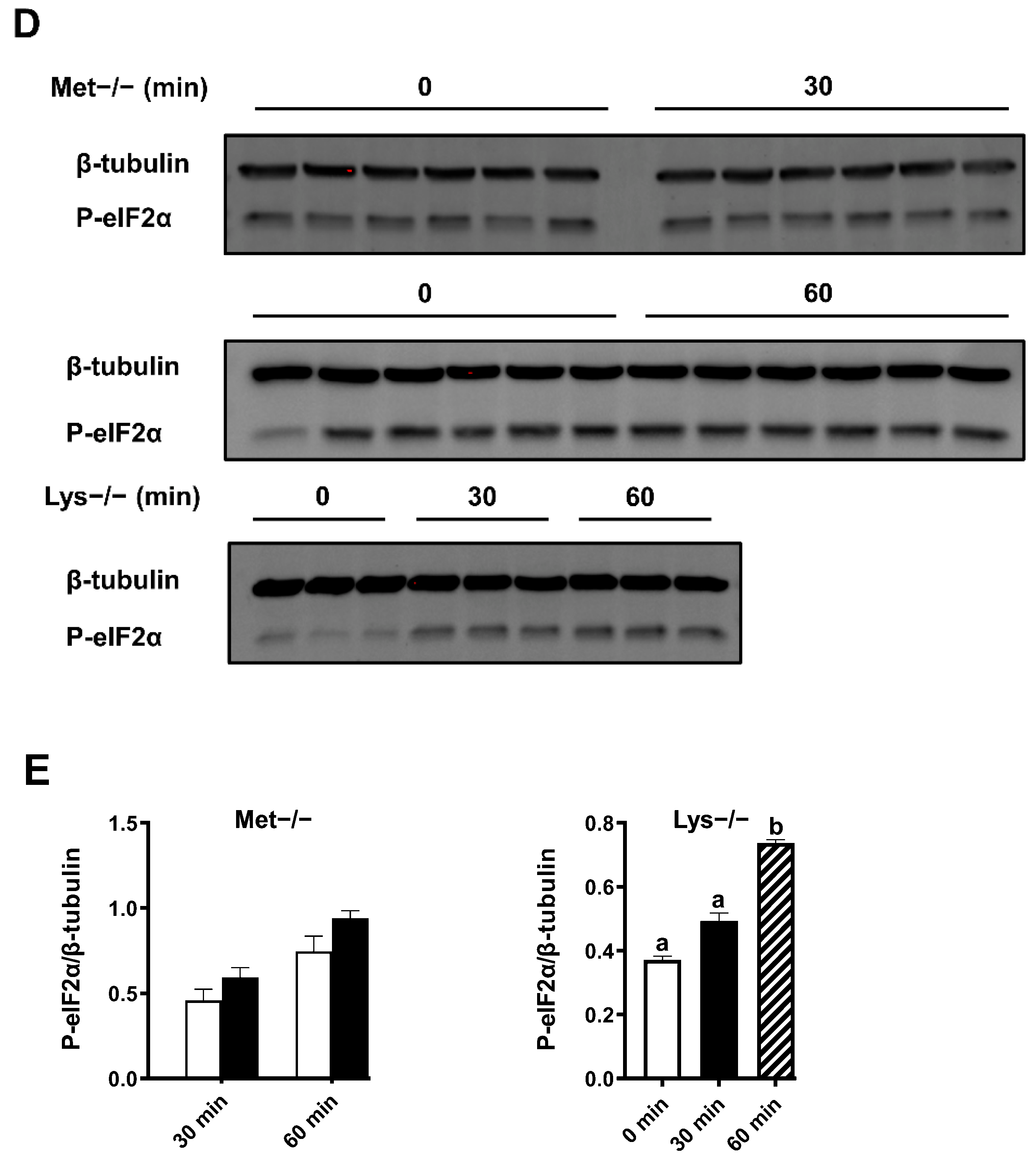 Ijms 23 06727 g002b 550