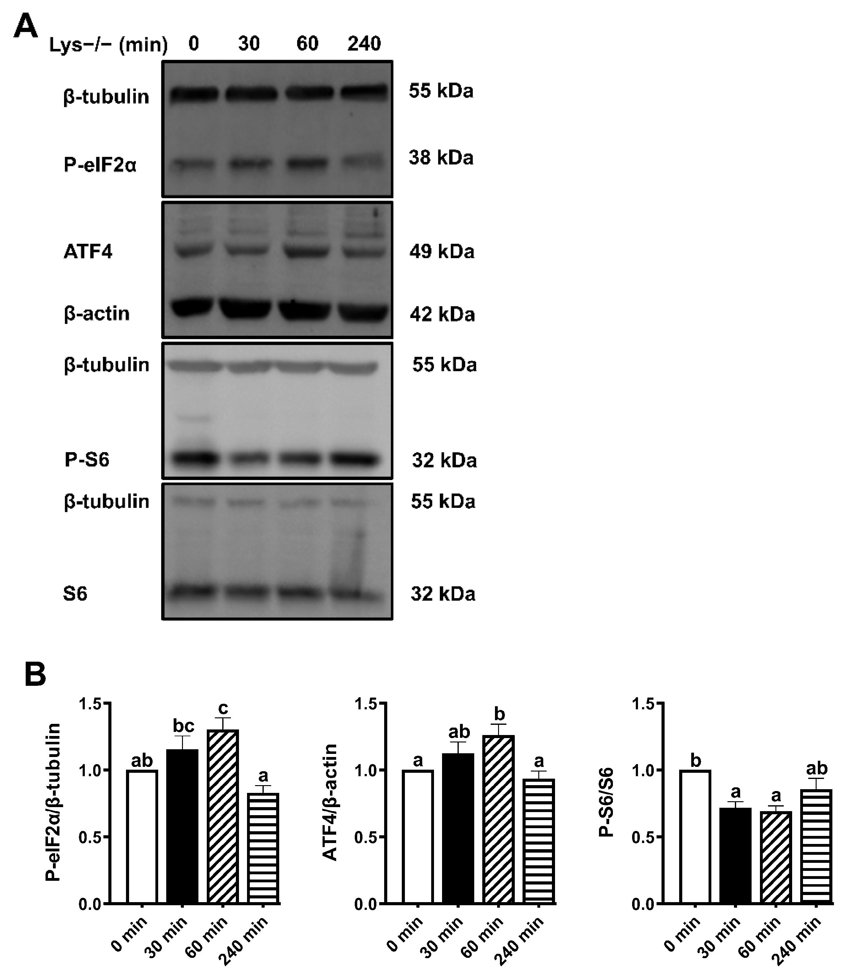 Ijms 23 06727 g003 550
