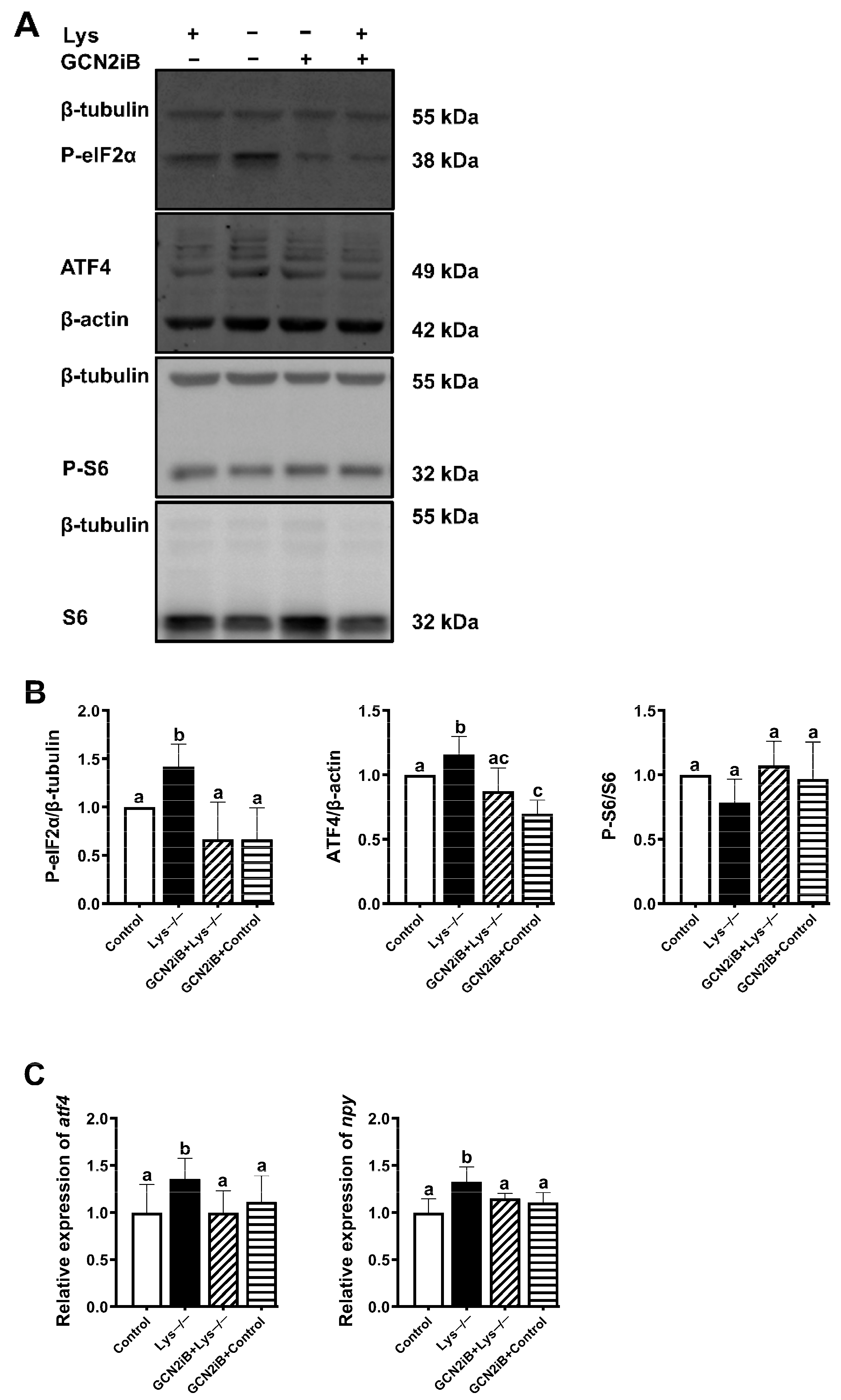 Ijms 23 06727 g004 550