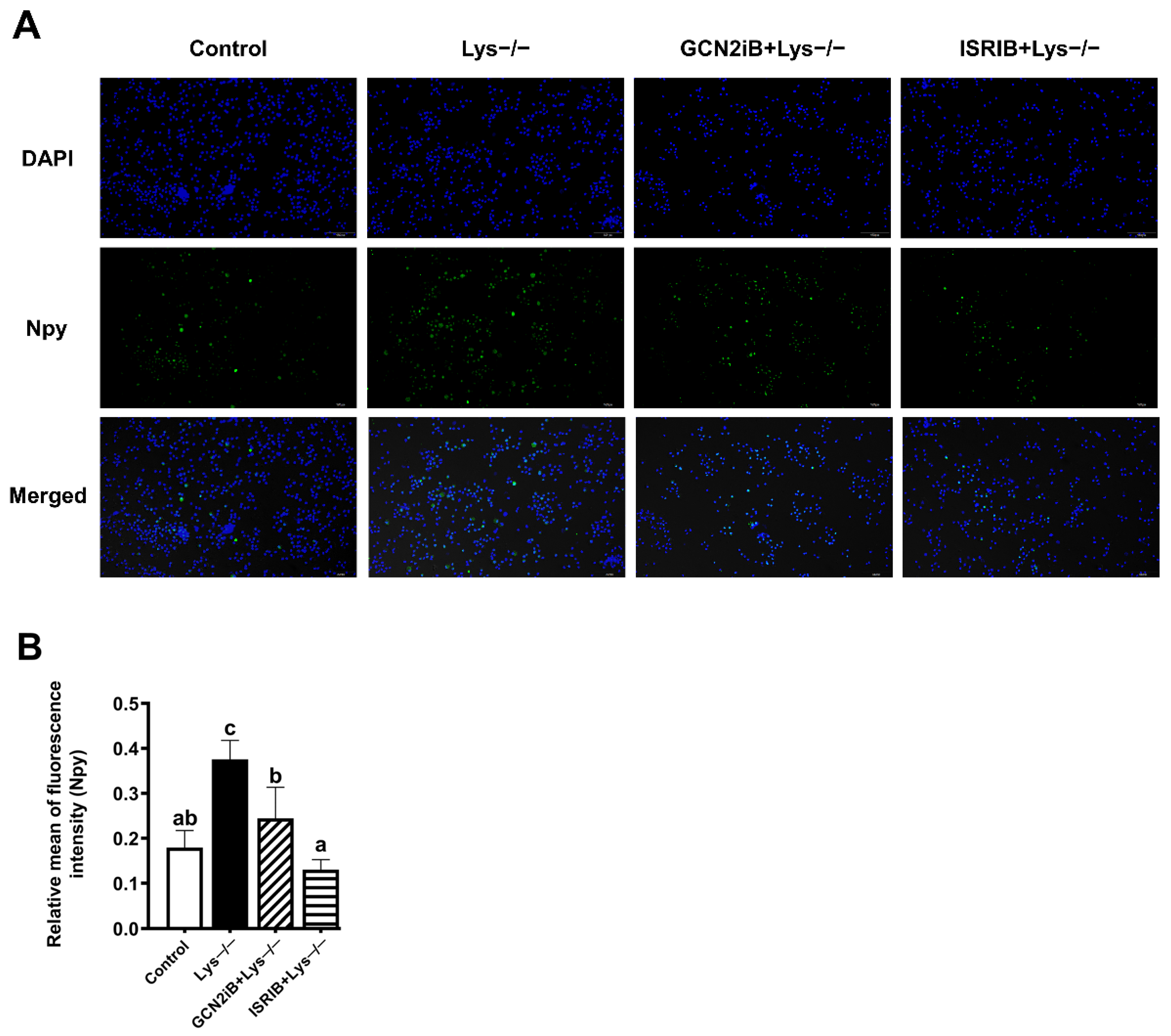 Ijms 23 06727 g006 550