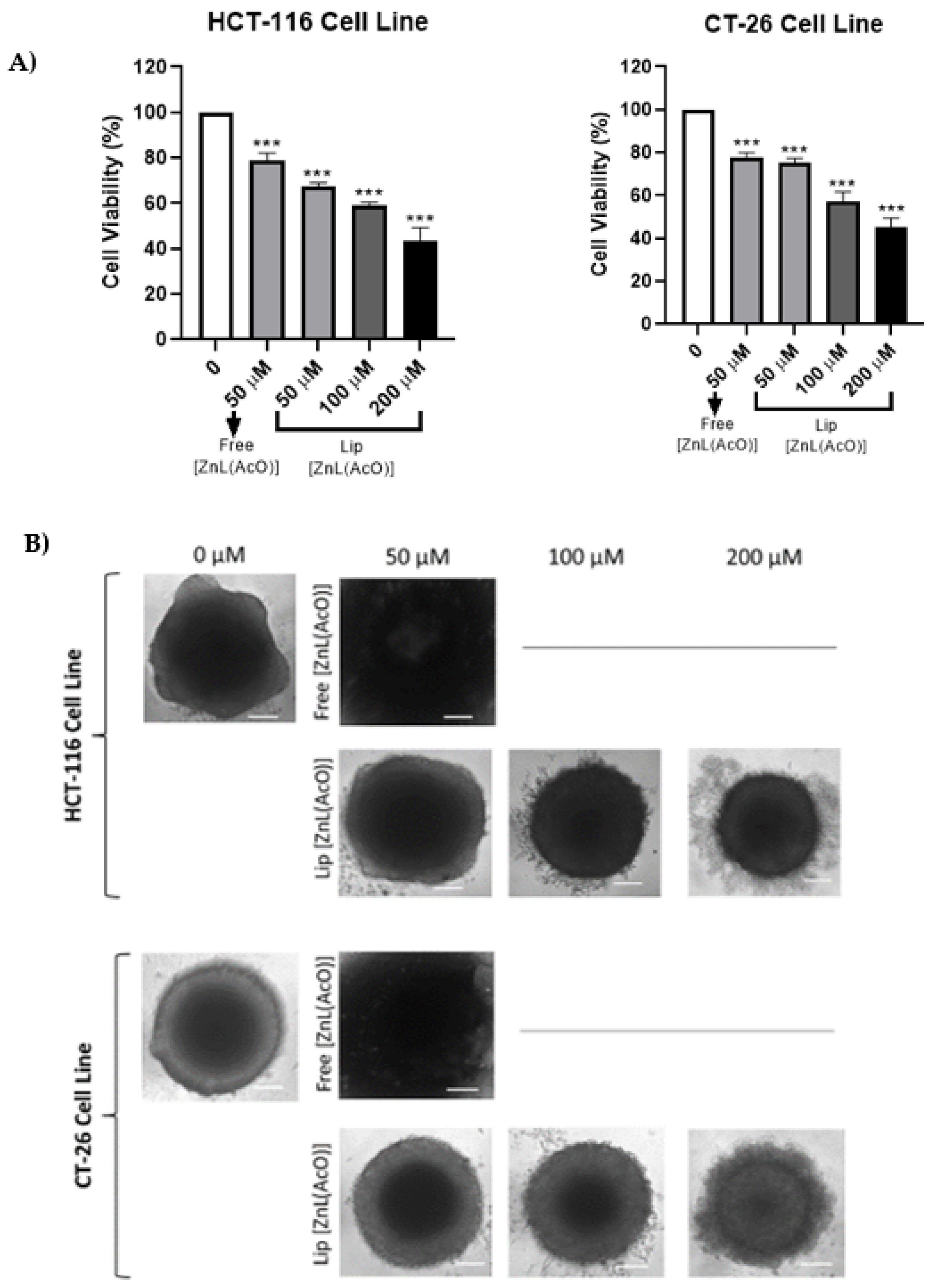 Ijms 23 06728 g005 550