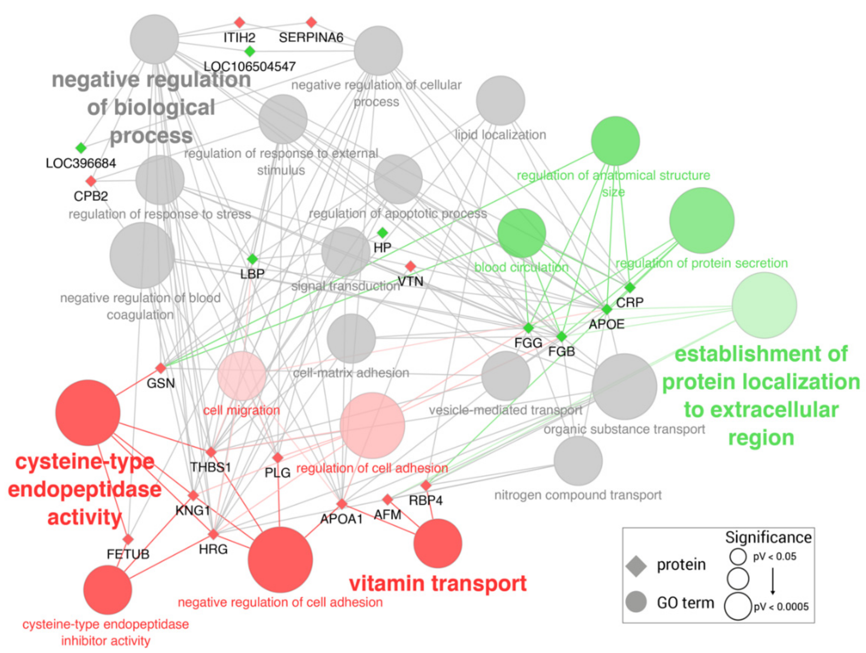 Ijms 23 06738 g002 Ijms 23 06738 g002