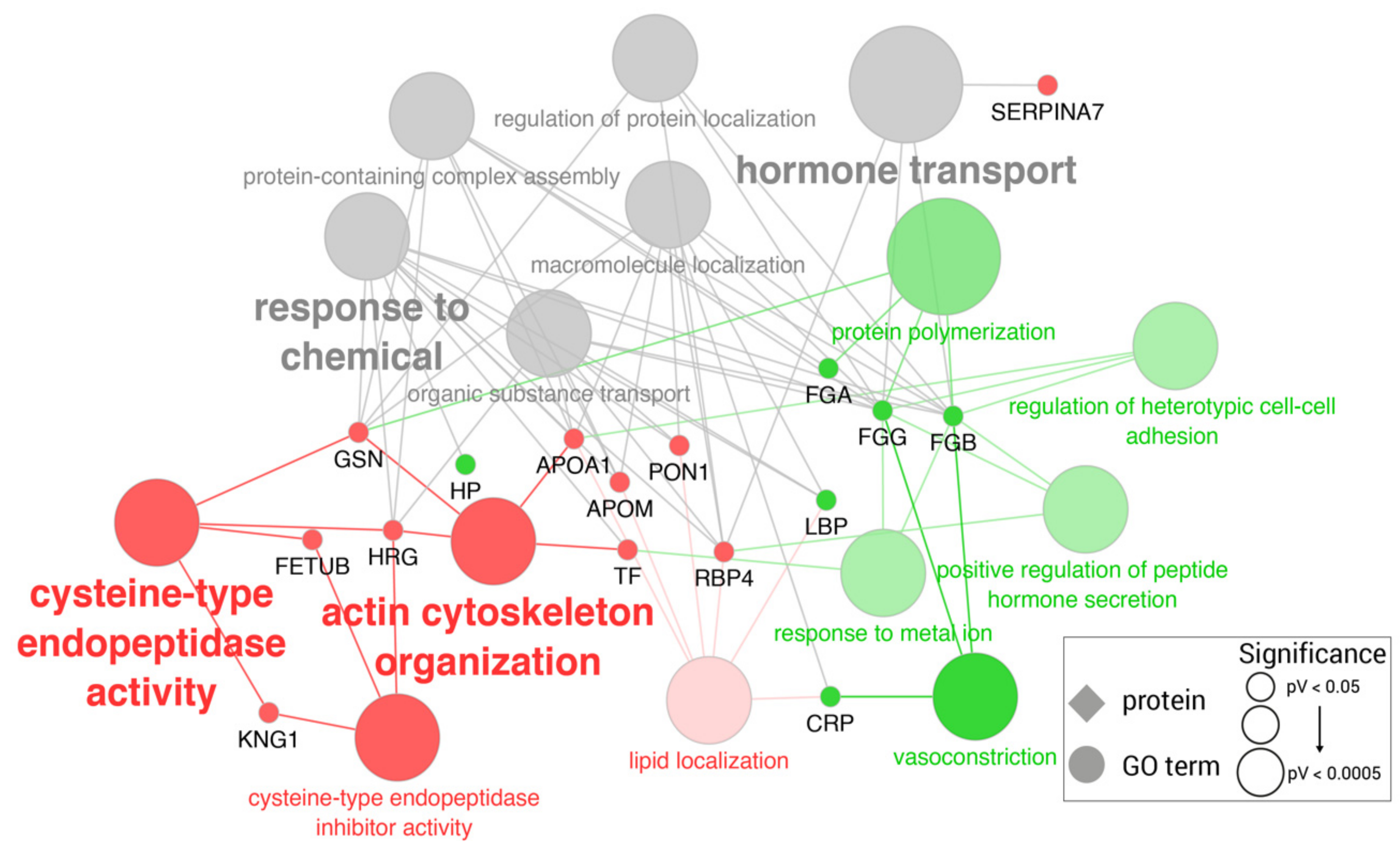 Ijms 23 06738 g004 Ijms 23 06738 g004