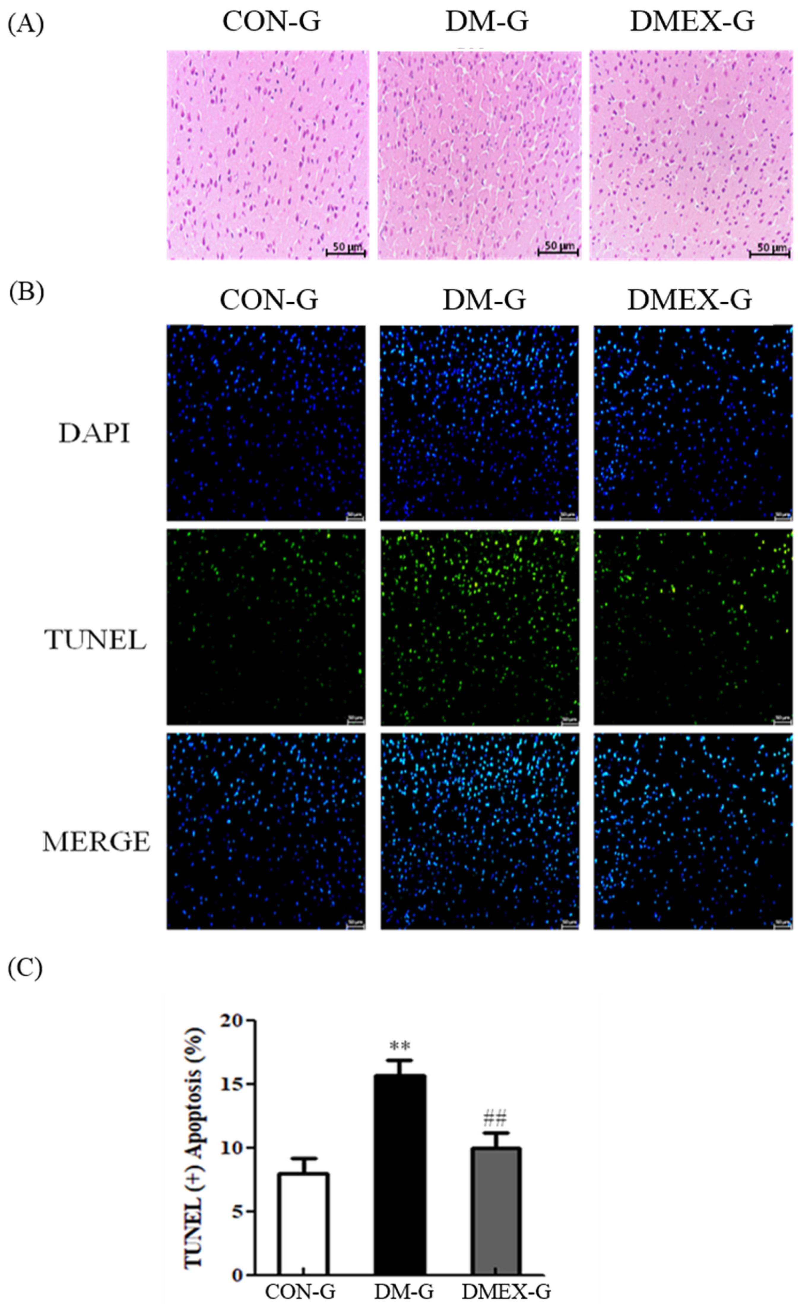 Ijms 23 06740 g001 550