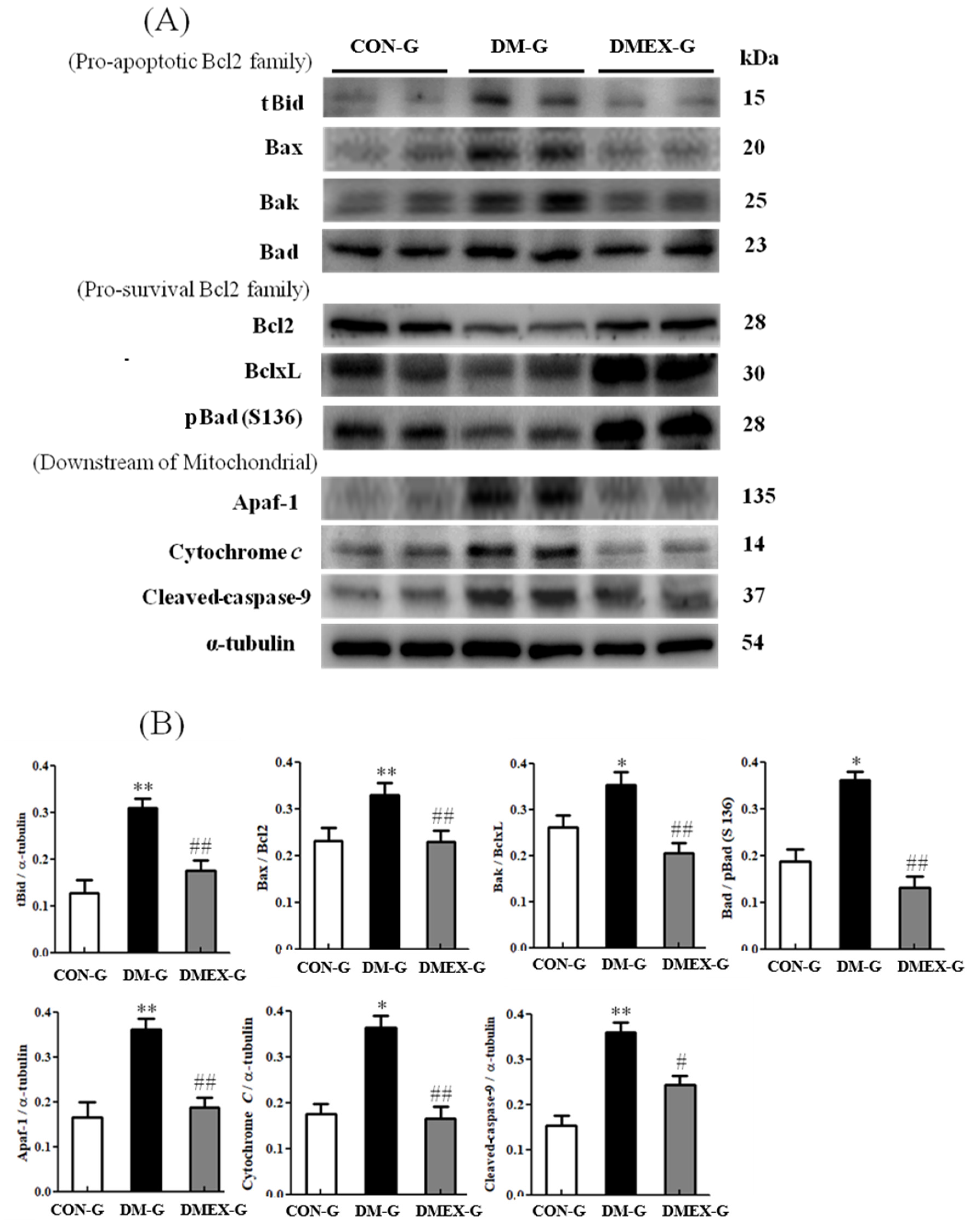 Ijms 23 06740 g003 550