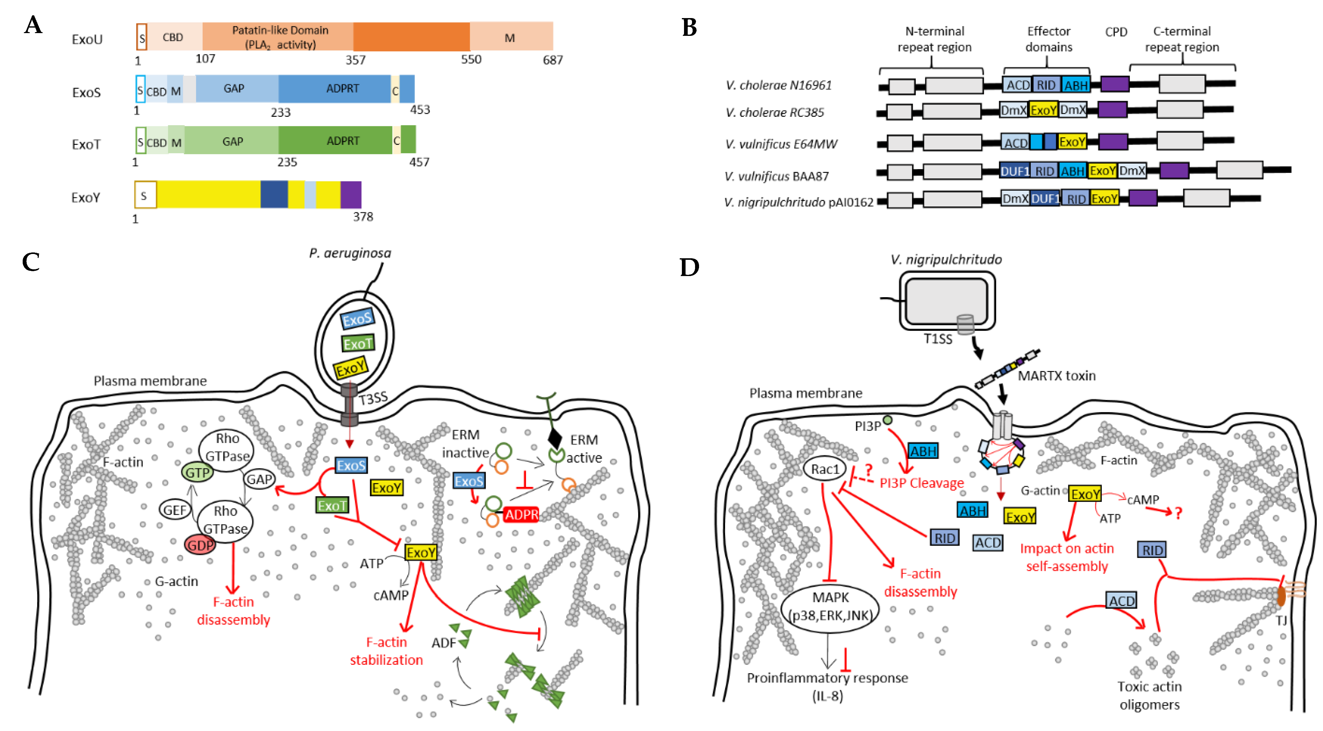 Ijms 23 06743 g004 550