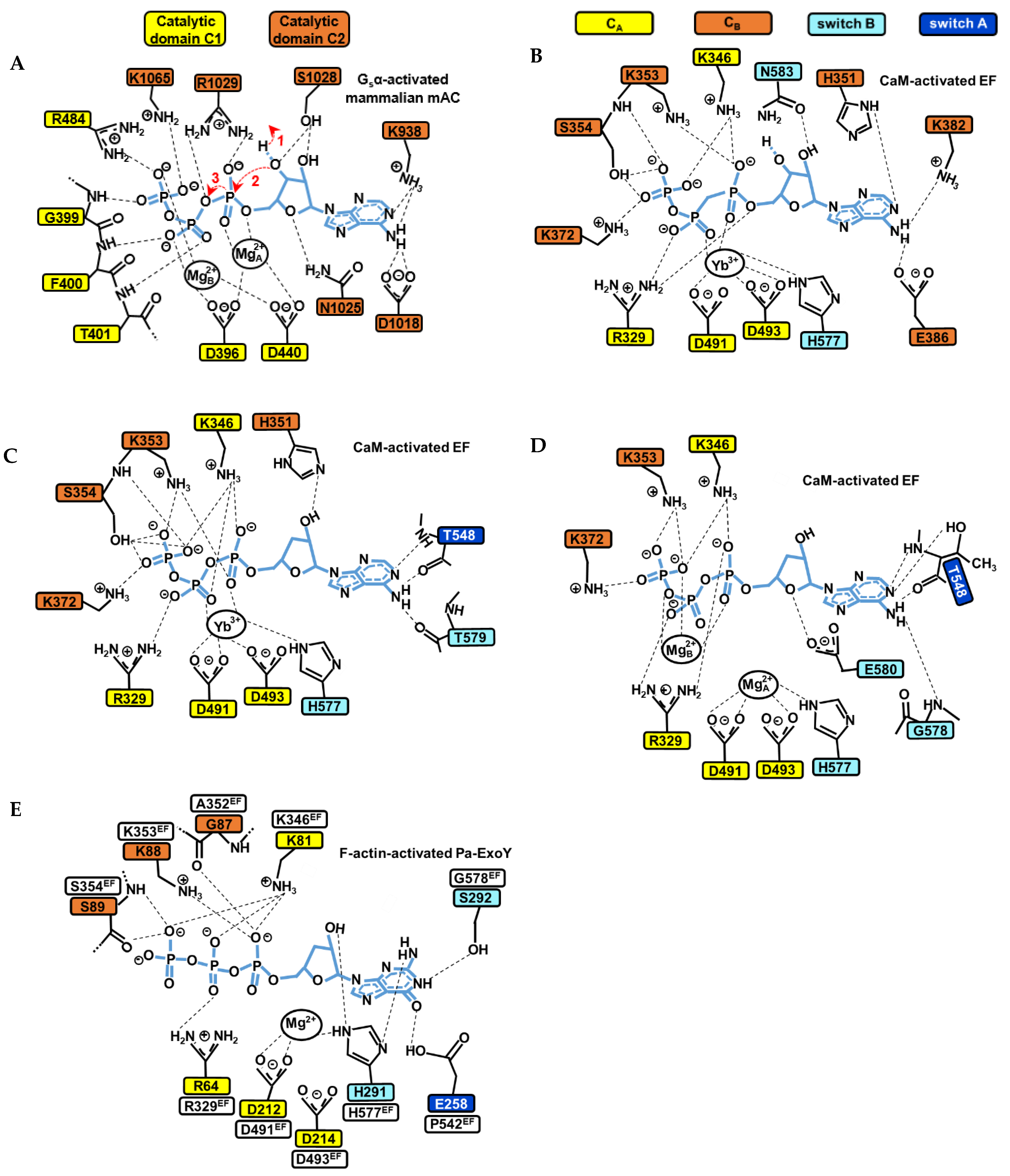 Ijms 23 06743 g008 550