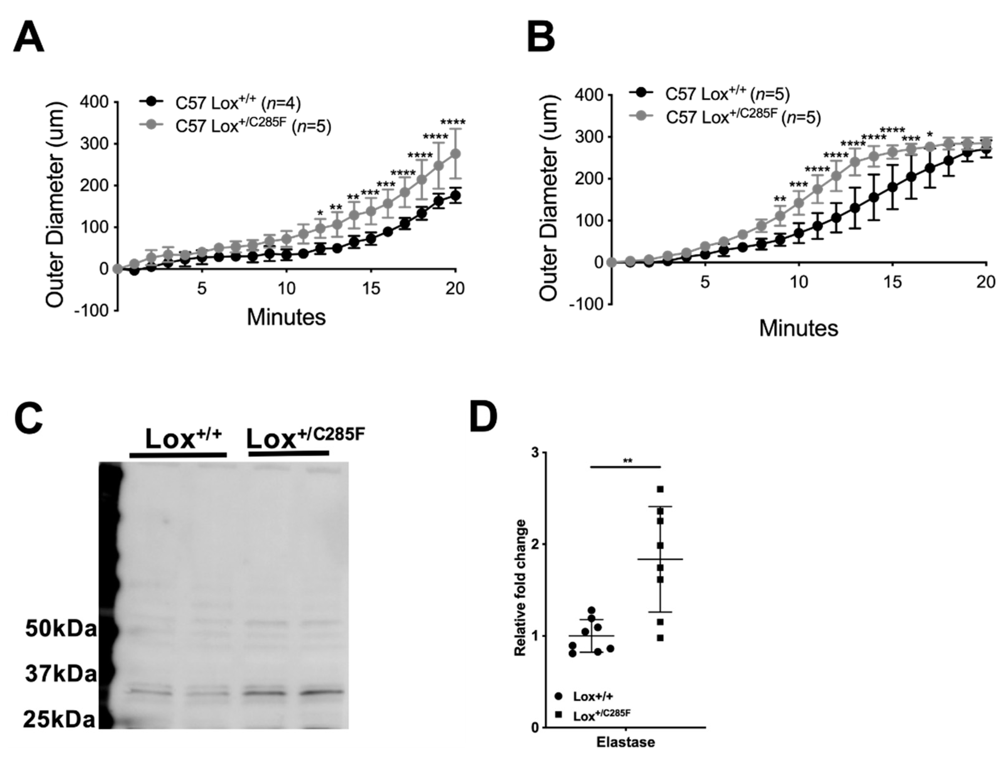 Ijms 23 06749 g008 550