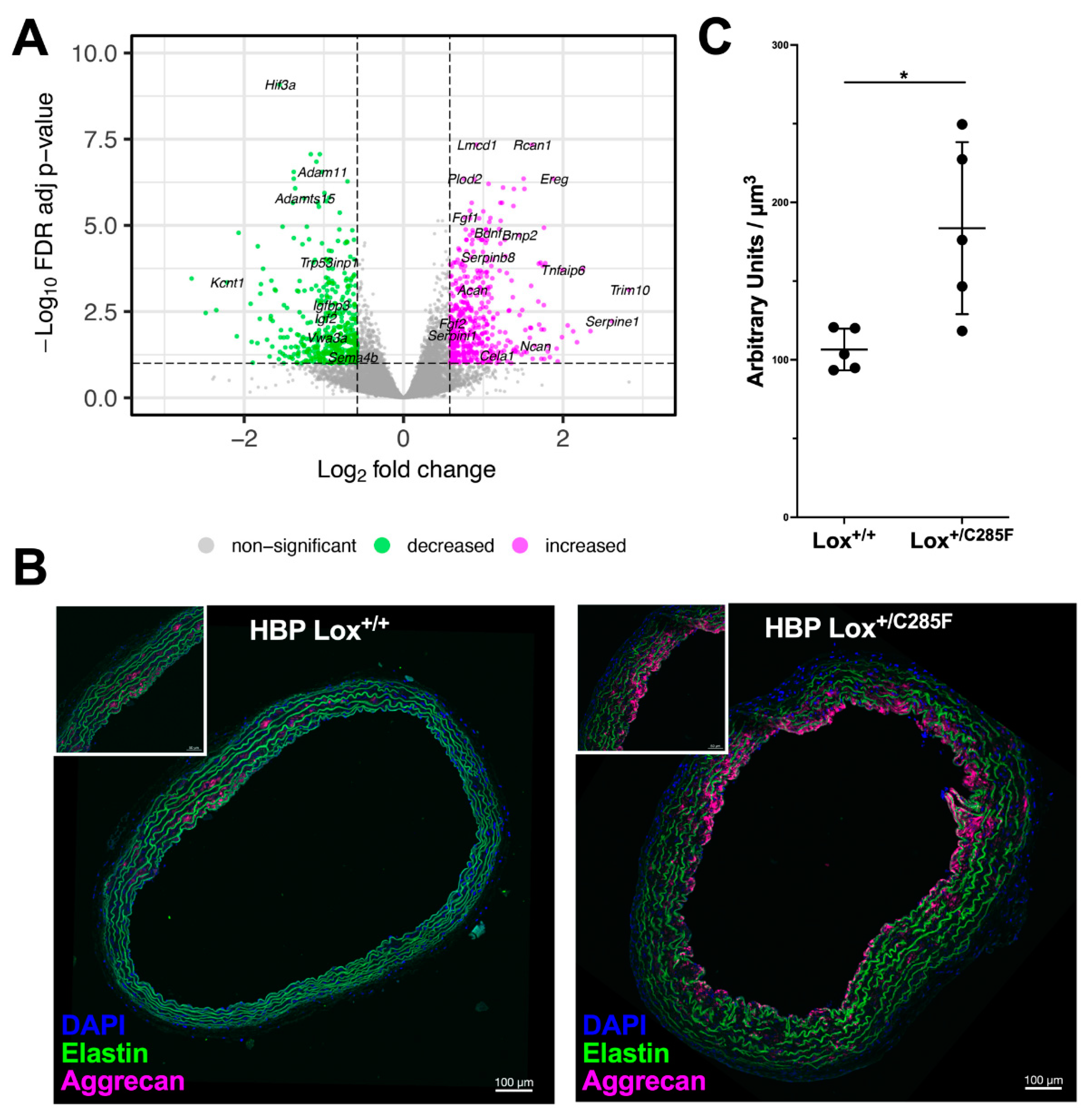 Ijms 23 06749 g009 550