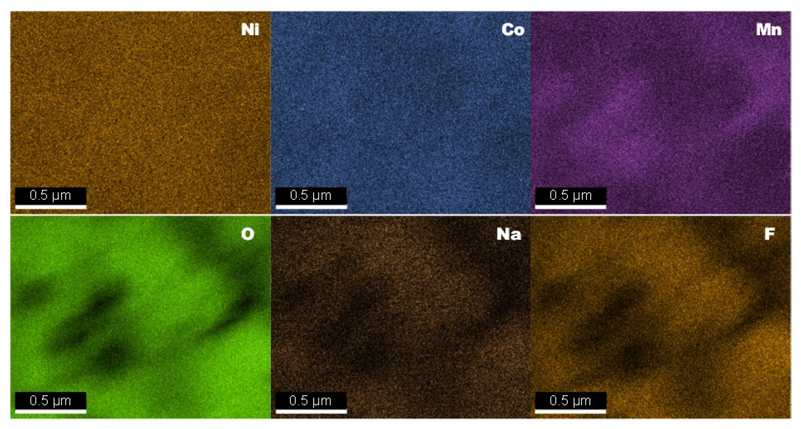 Ijms 23 06755 g003 550