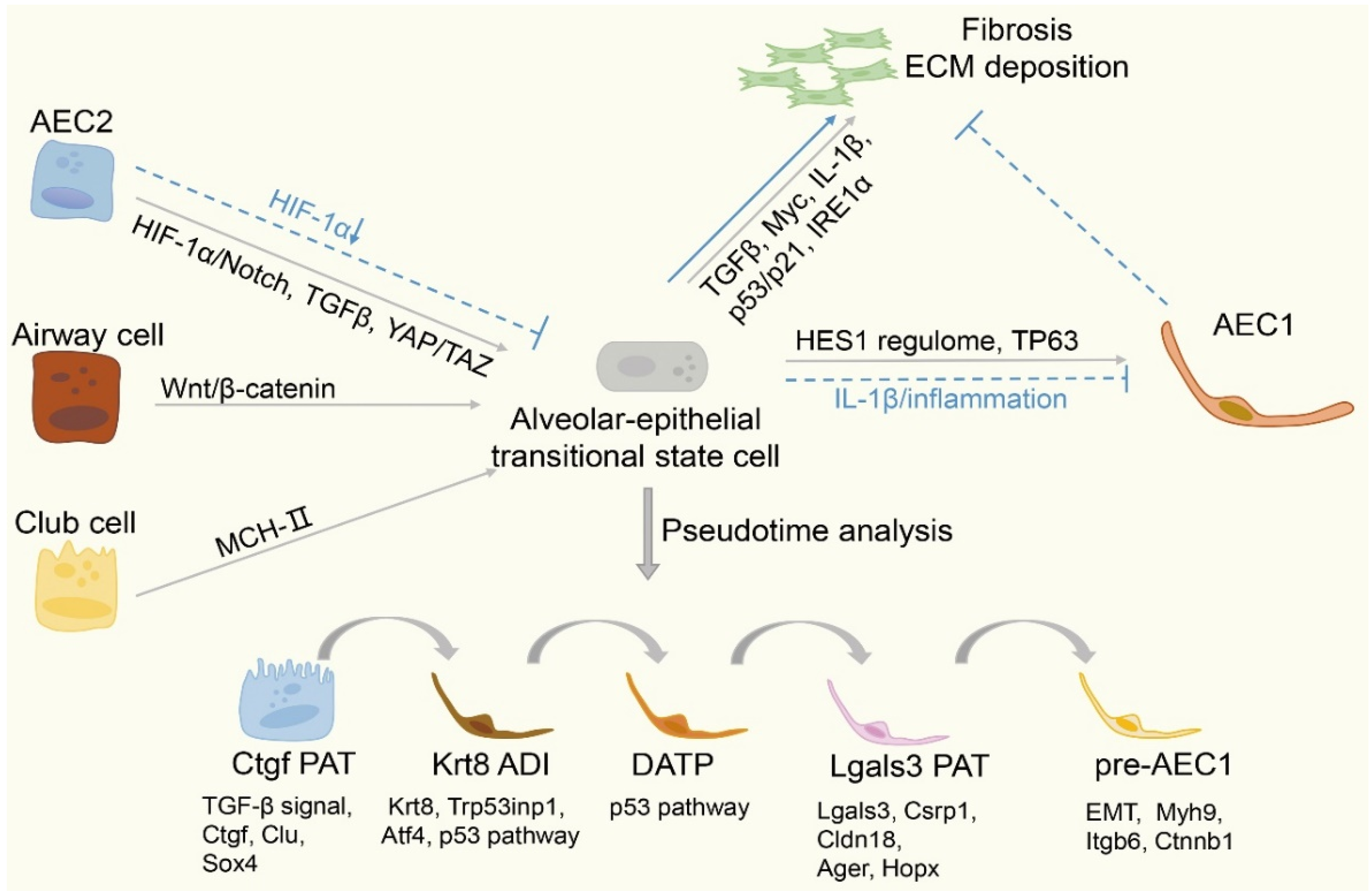 Ijms 23 06757 g001 Ijms 23 06757 g001