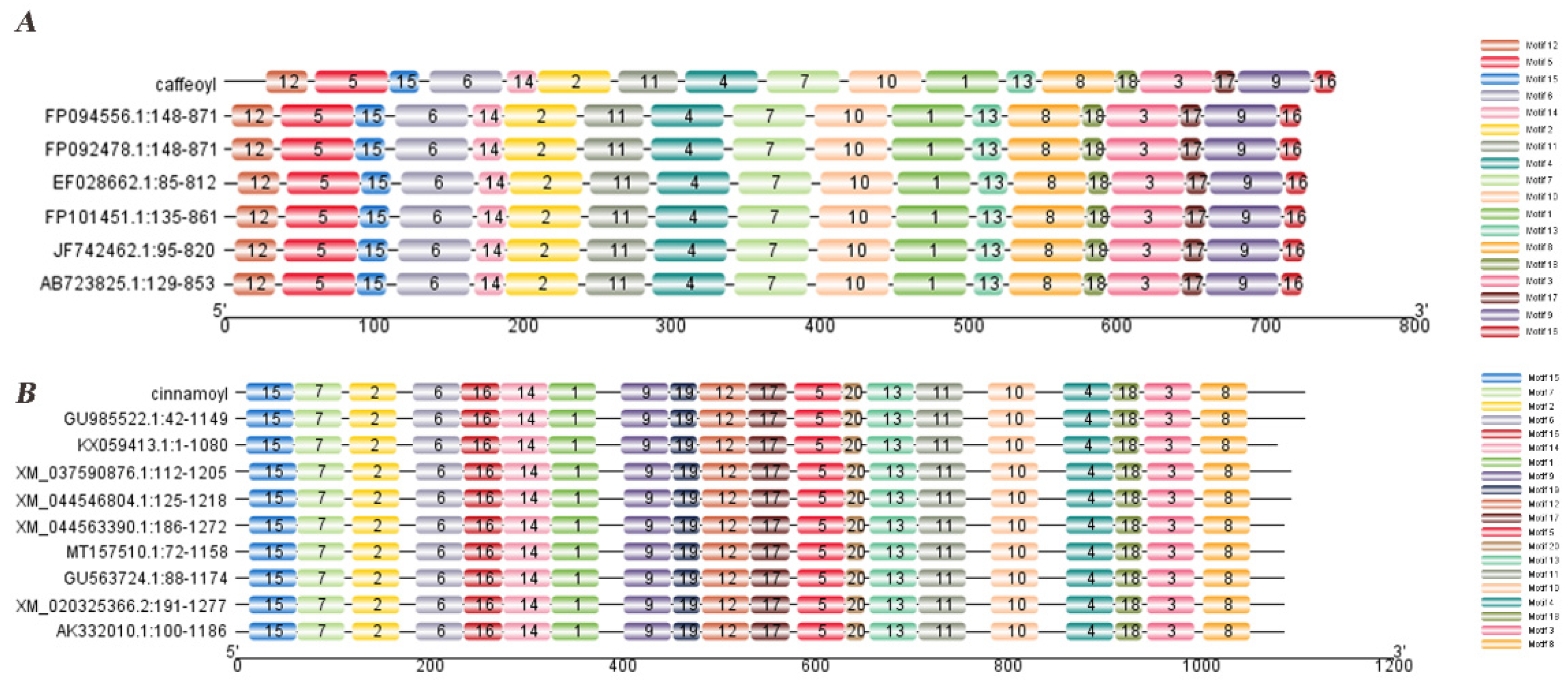 Ijms 23 06760 g002 550