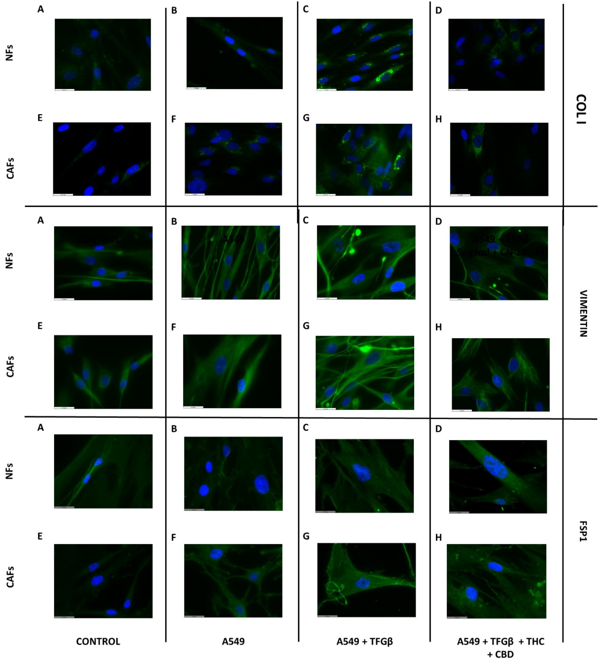 Ijms 23 06766 g006 550