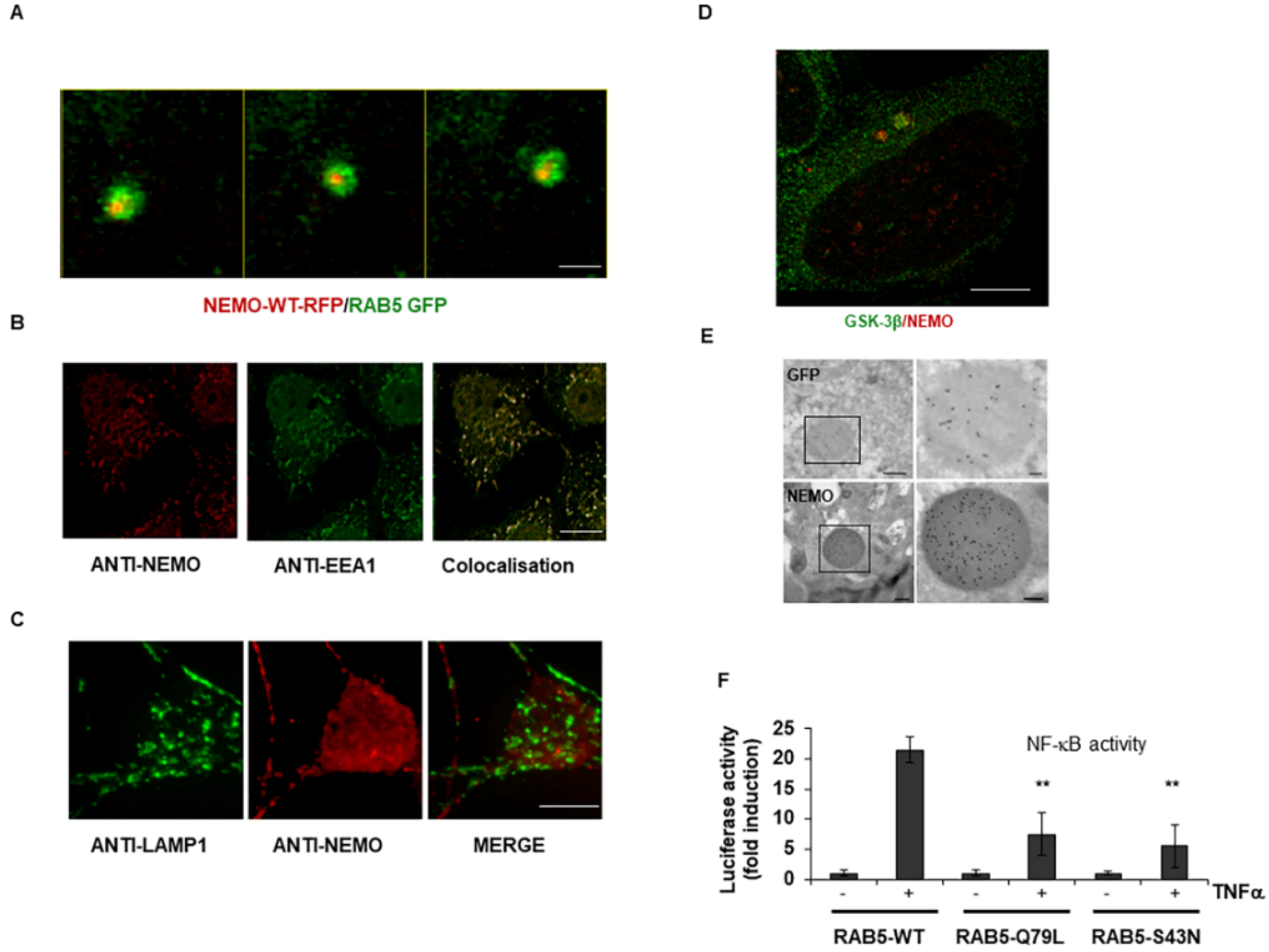 Ijms 23 06778 g002 Ijms 23 06778 g002