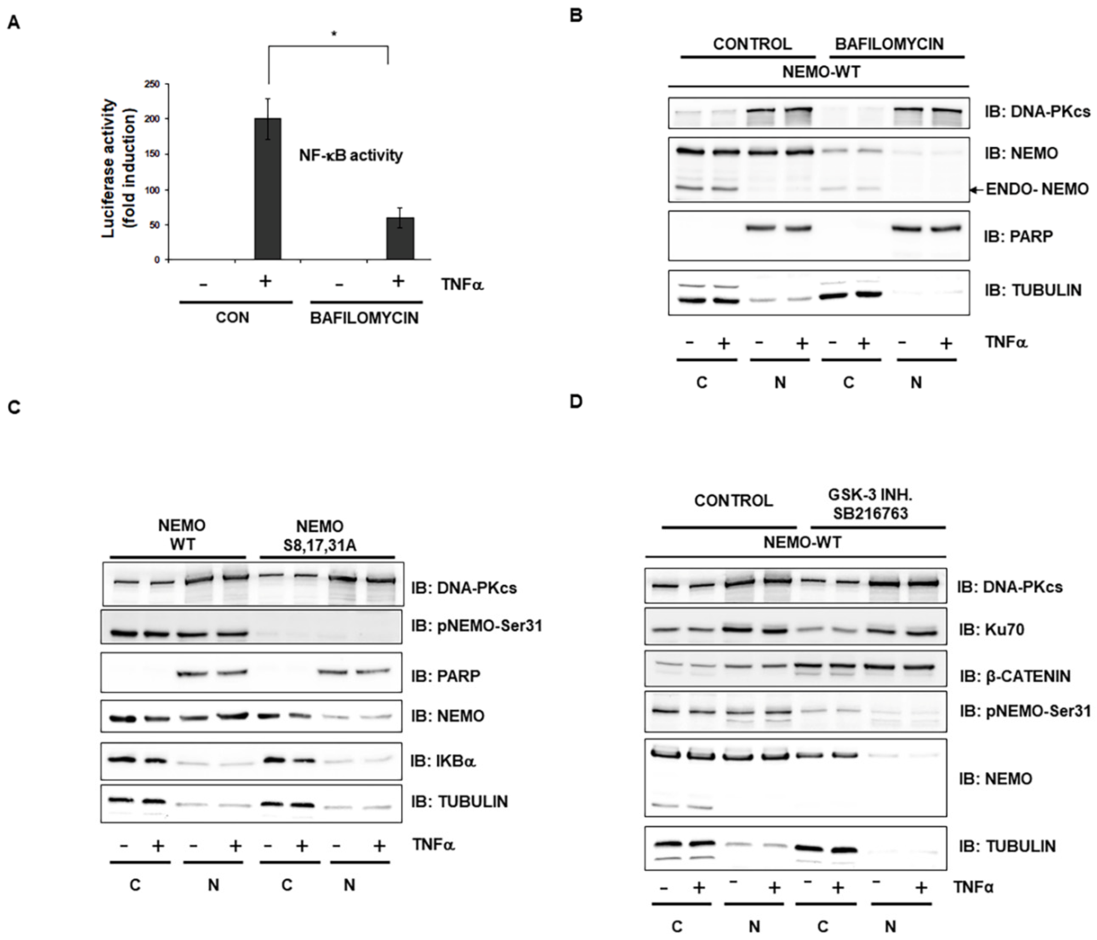 Ijms 23 06778 g003 Ijms 23 06778 g003