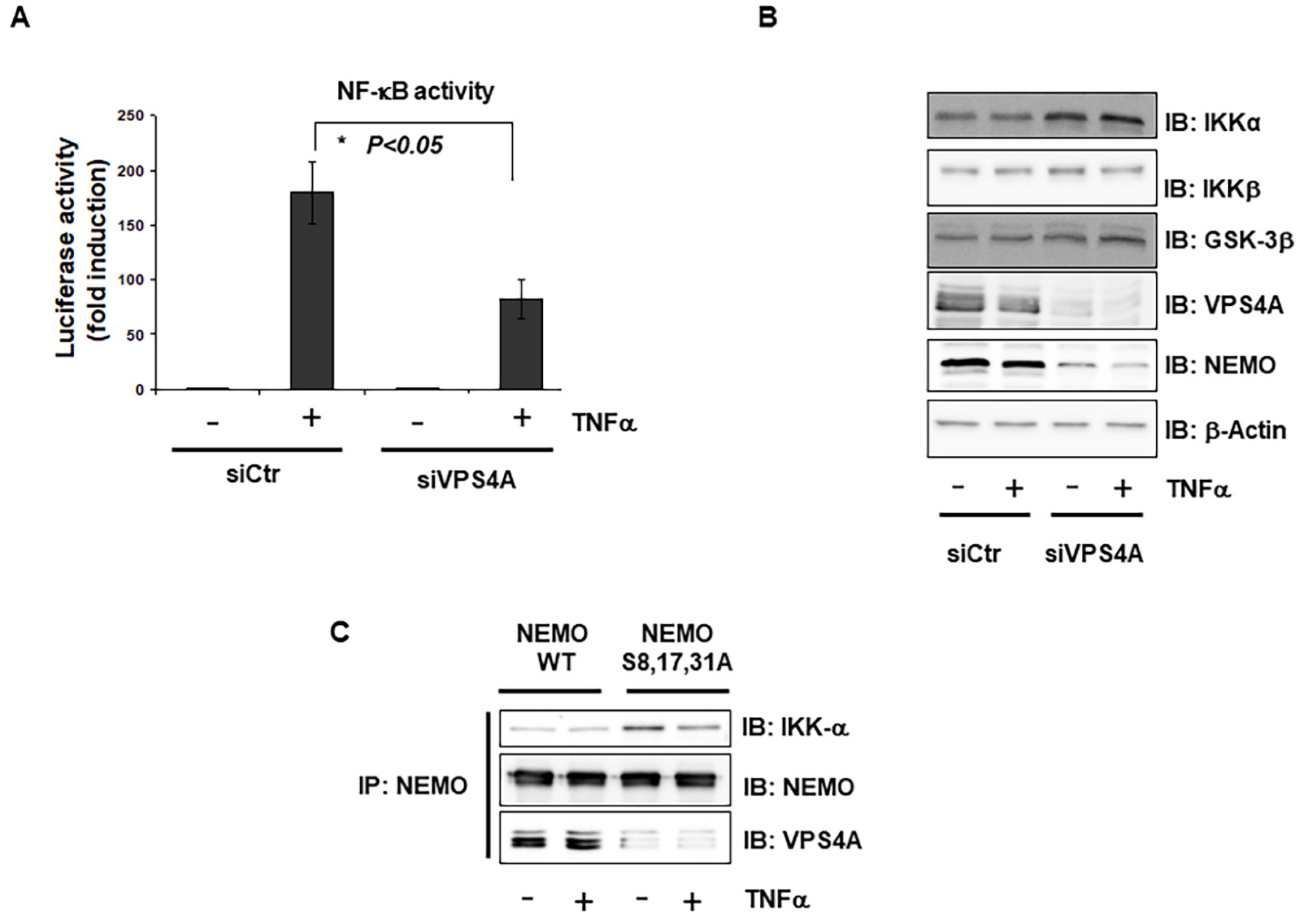 Ijms 23 06778 g004 Ijms 23 06778 g004