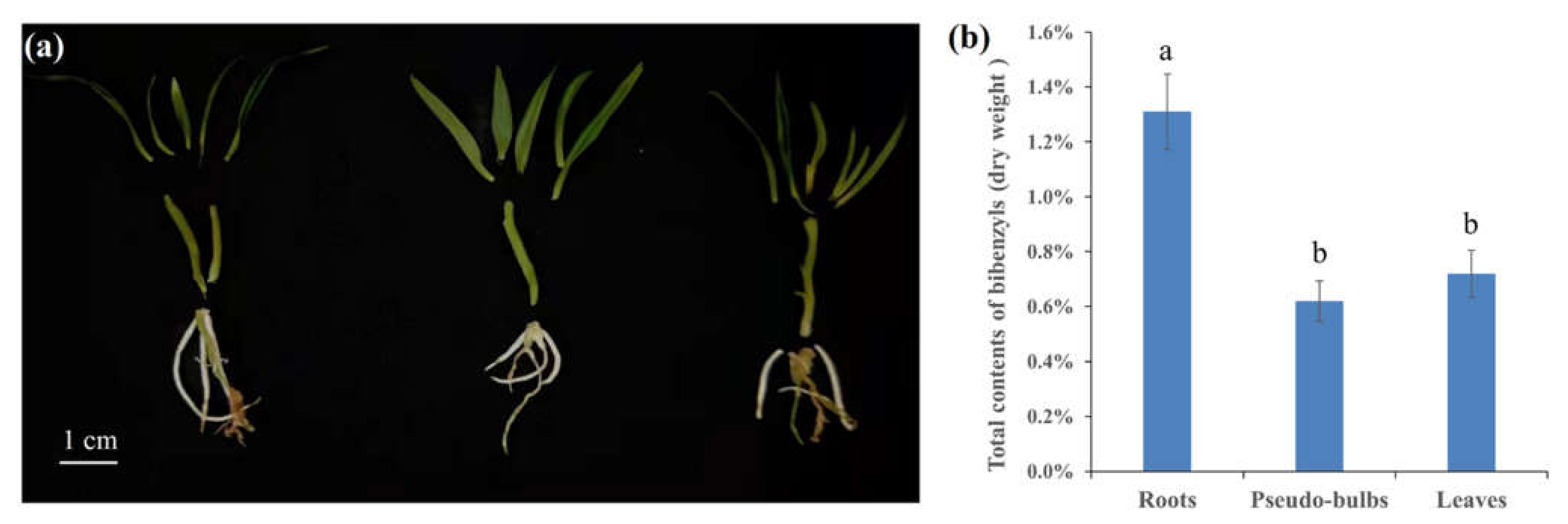 Ijms 23 06780 g001 550
