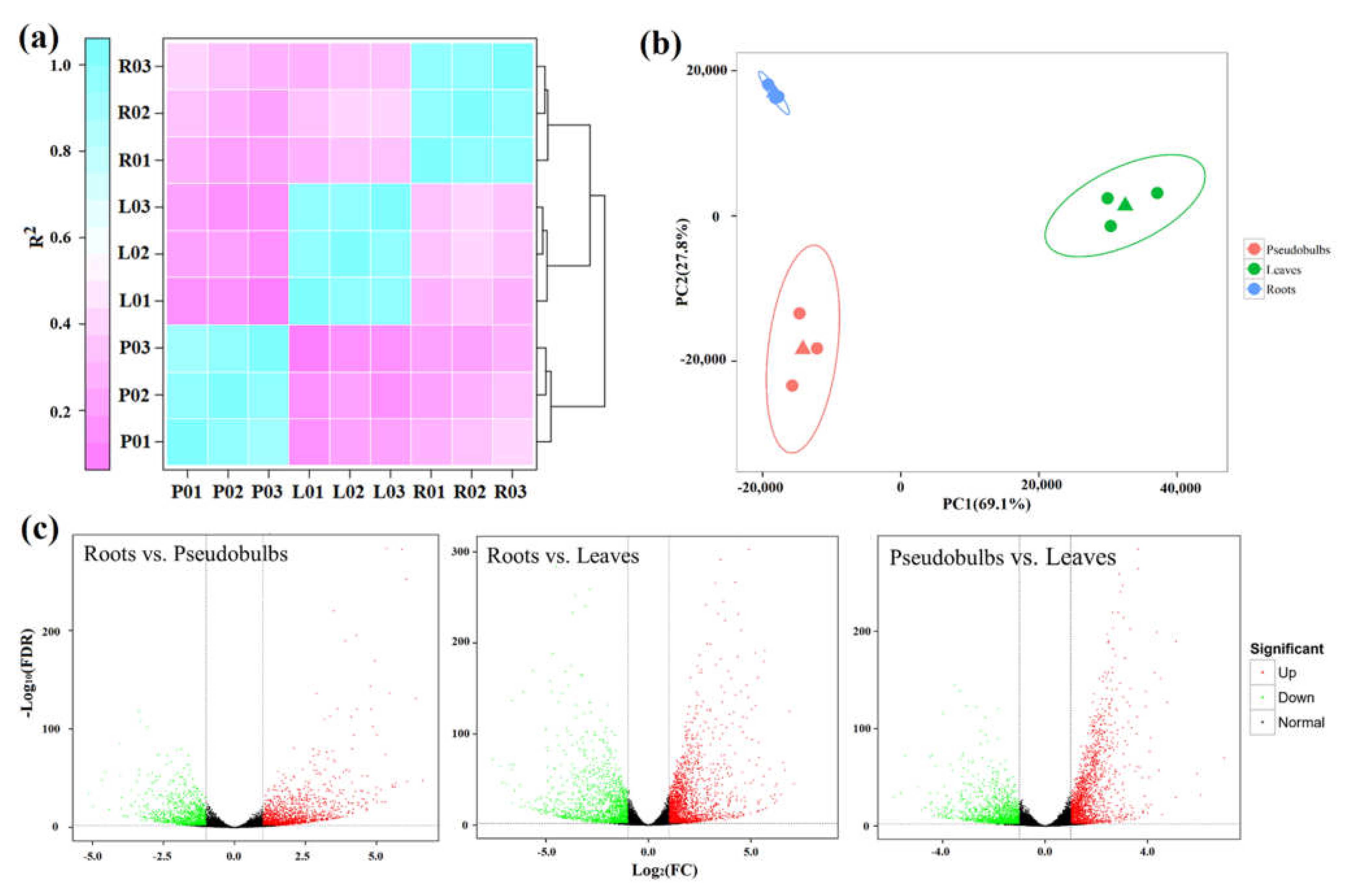 Ijms 23 06780 g002 550