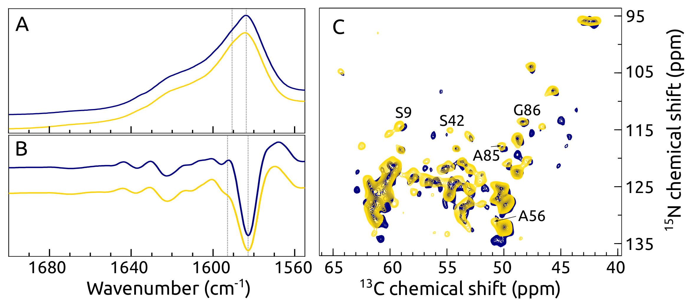 Ijms 23 06781 g009 550