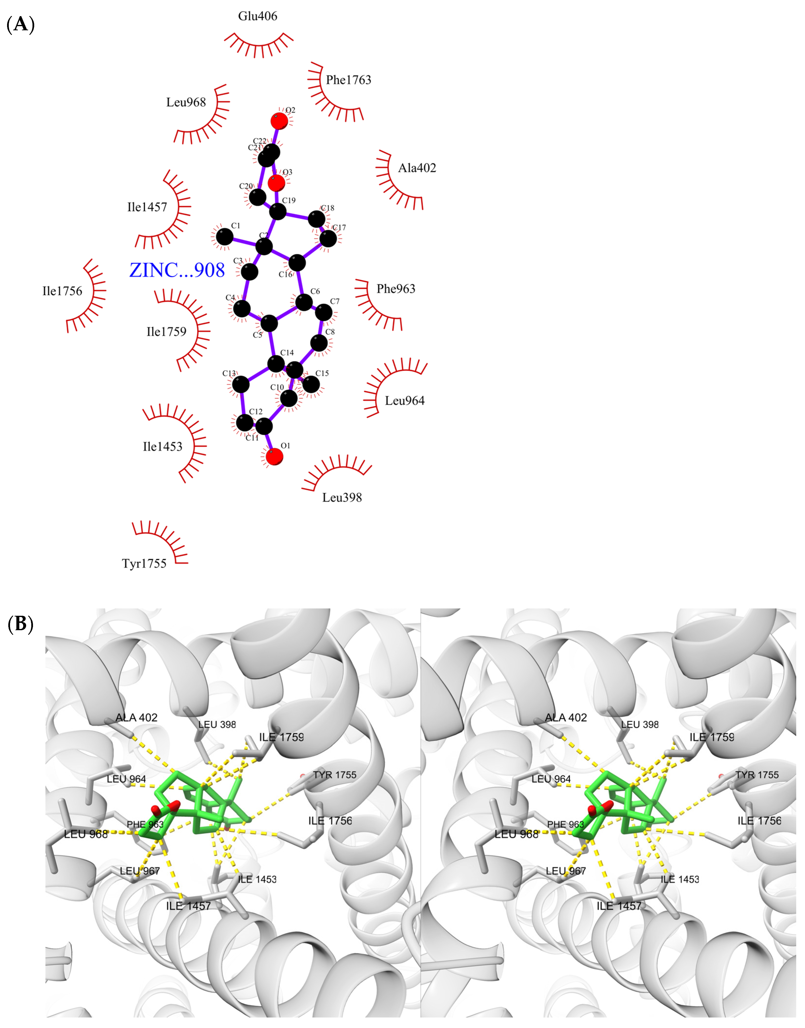 Ijms 23 06793 g004 550
