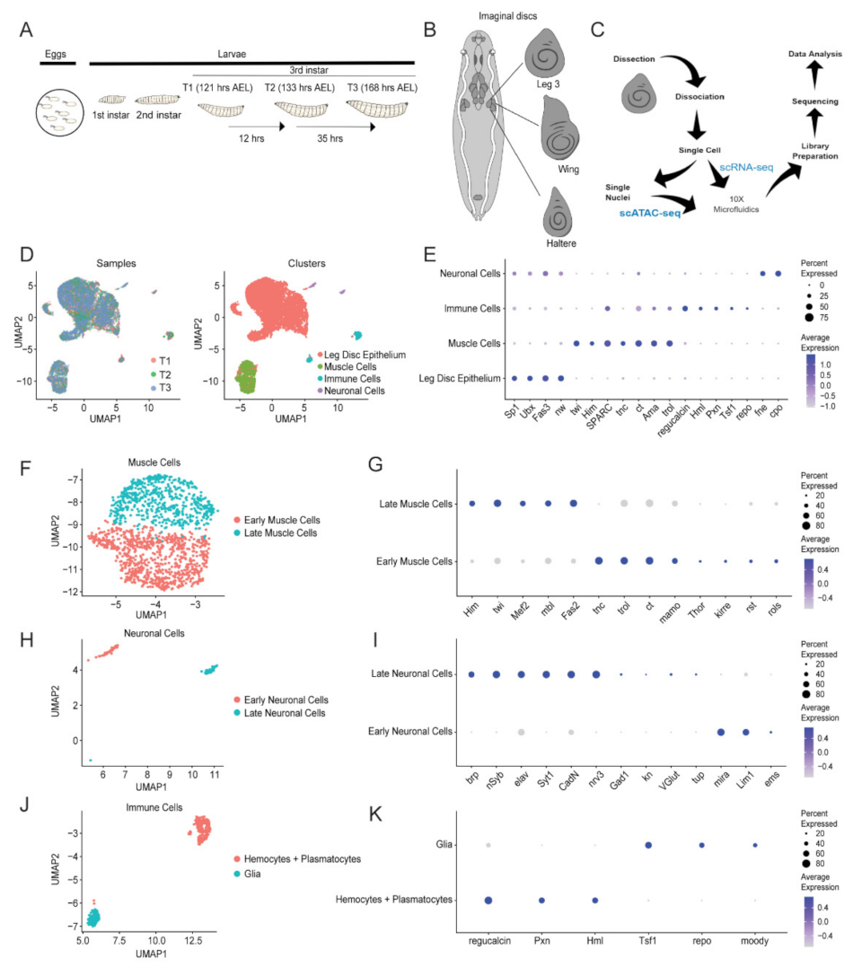 Ijms 23 06796 g001 Ijms 23 06796 g001