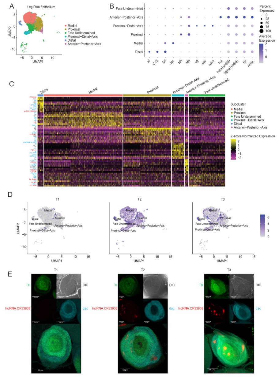 Ijms 23 06796 g002 Ijms 23 06796 g002
